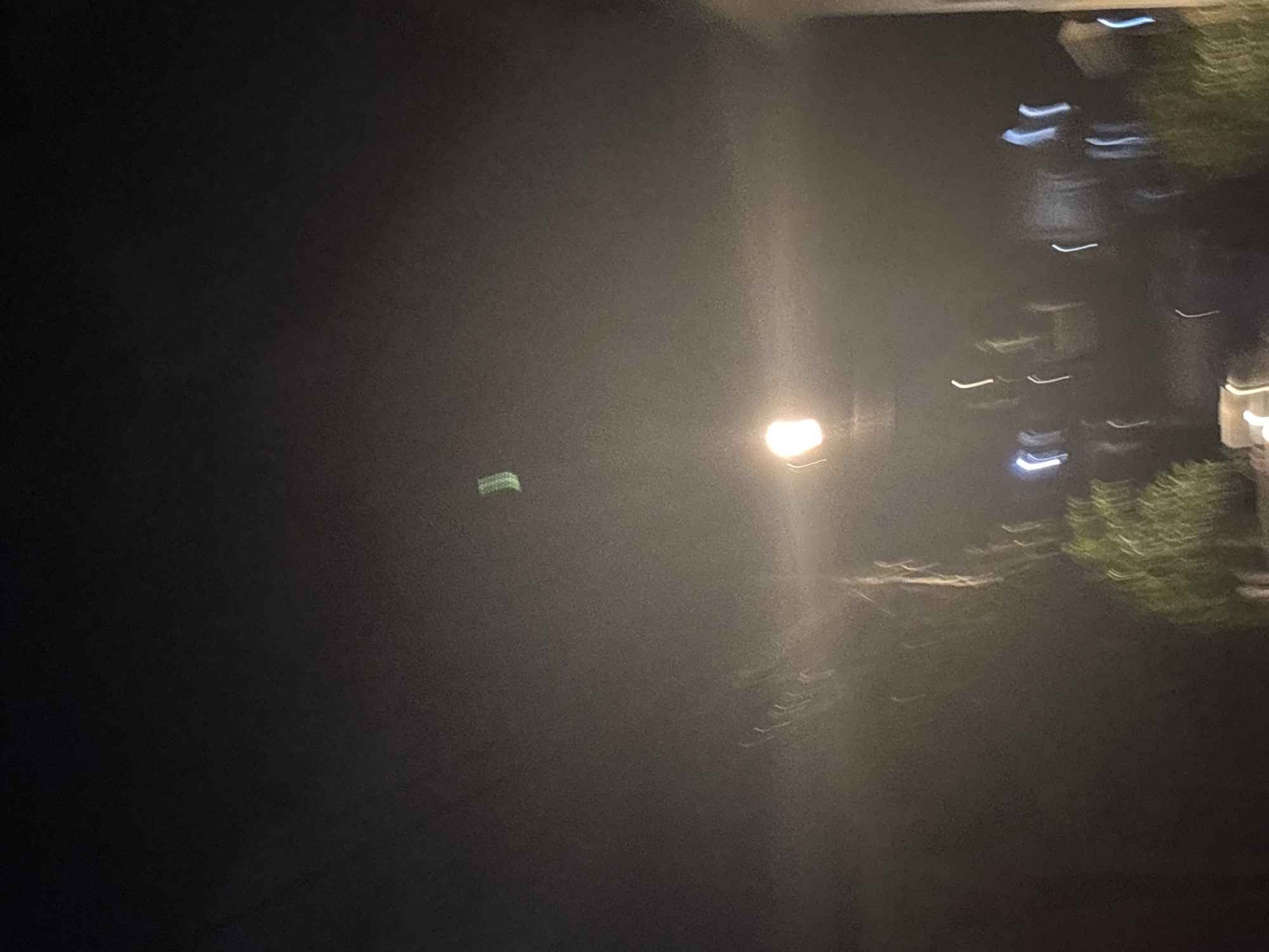 The image captures a nighttime scene in Davao City, Philippines, characterized by a low-light environment with visible light streaks and blurs, suggesting movement or a long exposure. In the upper center of the frame, a distinct, elongated green blur is present, its shape reminiscent of a curved object. Below this, a bright, circular light source, likely a streetlamp, illuminates the foggy or hazy atmosphere, casting a soft glow. Streaks of white and blue light are scattered throughout the lower portion of the image, possibly originating from vehicle lights or other illuminated objects in the city. Blurred greenery, indicating trees or bushes, is visible in the foreground and mid-ground, also affected by the low light conditions and motion. The overall impression is that of a somewhat indistinct urban night landscape, possibly after rain or during foggy conditions, with a notable, unidentifiable green object in the sky.