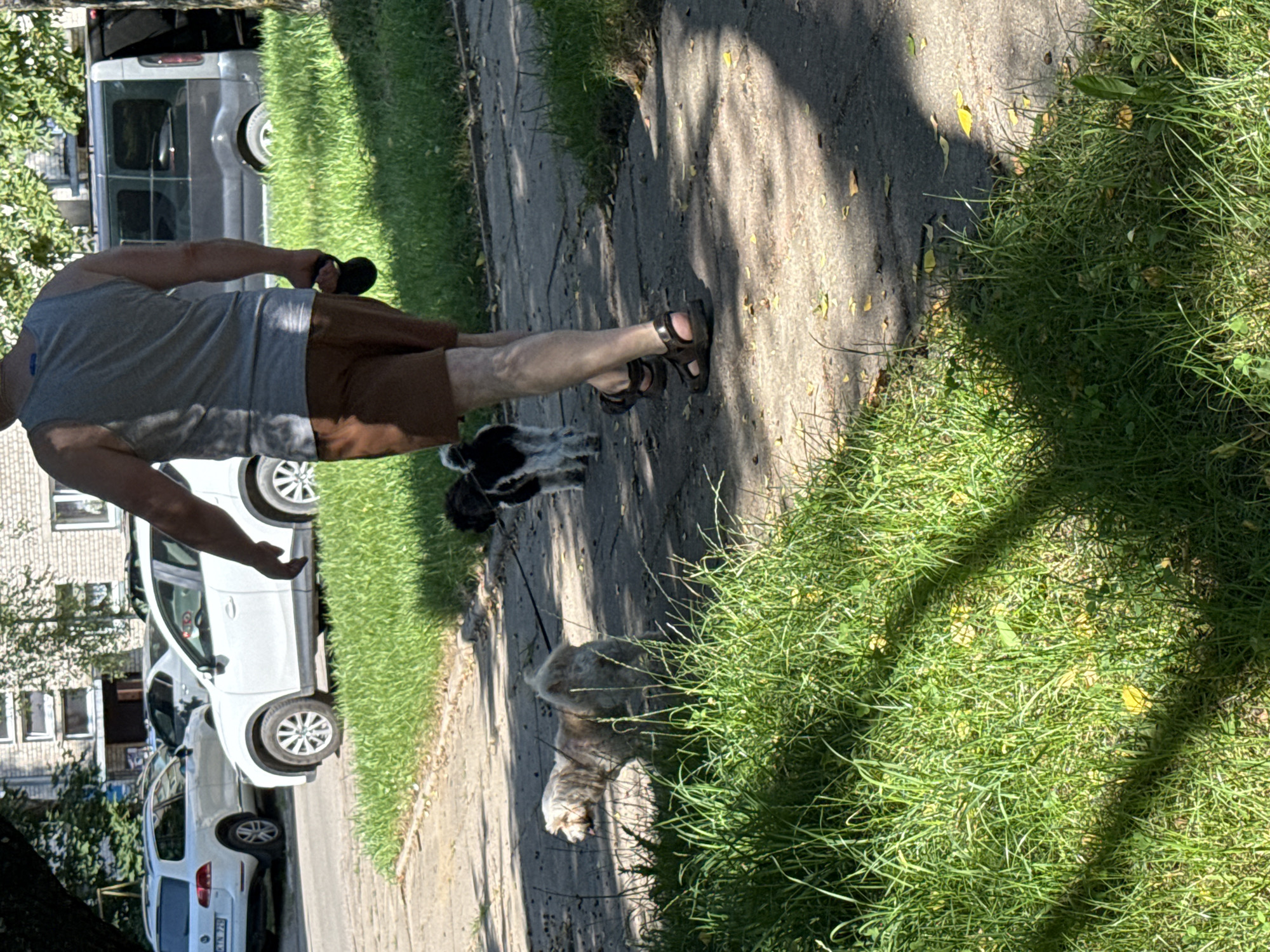 A man wearing a gray tank top and brown shorts walks on a paved sidewalk in Rudamina, Lithuania. He is holding a black leash with two small dogs. The dog in front is light-colored and shaggy, and the dog behind it is black and white. A white SUV and a dark gray minivan are parked on the street behind the sidewalk. The scene is illuminated by bright sunlight, casting shadows on the sidewalk and surrounding green grass. A brick building is visible in the background.