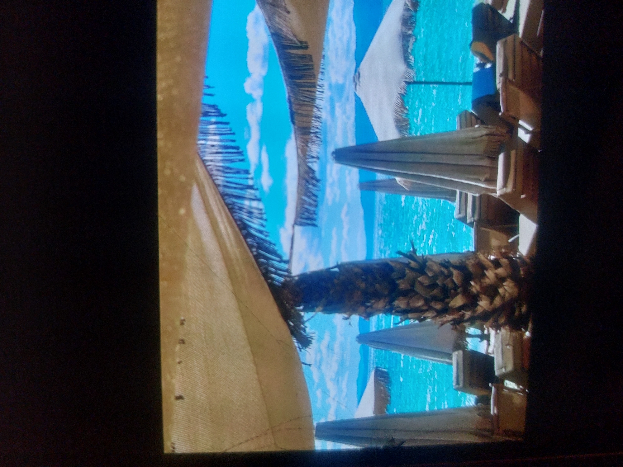 The image shows a beach scene, possibly in Tsarevo, Bulgaria. The dominant features are beach umbrellas, the sea, and a palm tree. Some objects that can be seen are wooden chairs and tables arranged beneath the umbrellas. The weather is likely sunny, as indicated by the shadows. The overall impression is a tranquil beach setting.