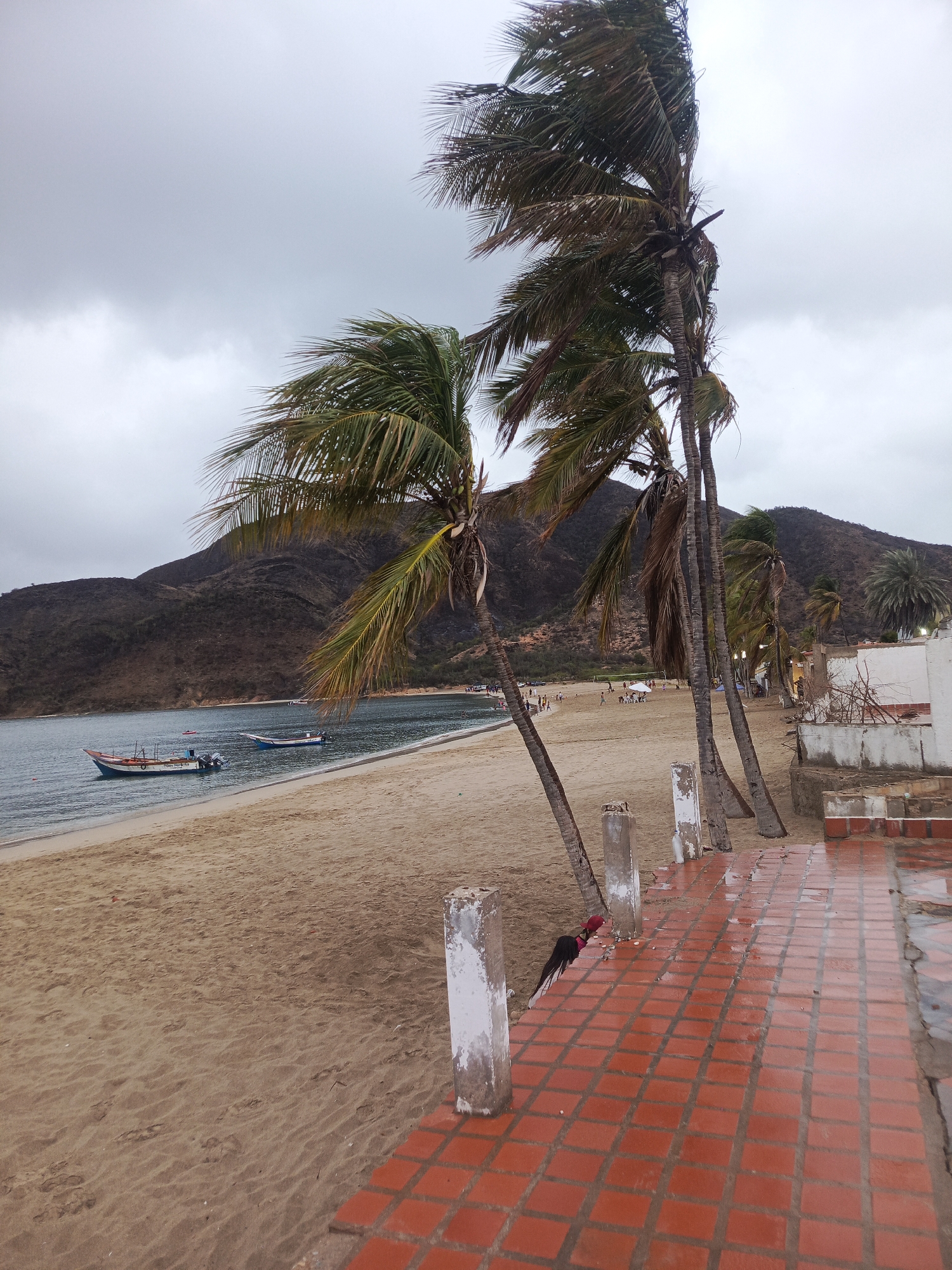 The image shows a beach scene in Juan Griego, Venezuela, on a cloudy day. In the foreground, a tiled walkway with puddles from recent rain is visible, leading to a sandy beach. Several palm trees with wind-blown fronds stand on the edge of the beach, some leaning towards the water. In the middle ground, the calm ocean laps against the shore, with a few small boats anchored. The background features a hilly, undeveloped landscape. The beach appears sparsely populated, with a few individuals visible in the distance. A rooster with red and black plumage is positioned on the tiled walkway near a broken pillar. The overall atmosphere is serene and slightly overcast.