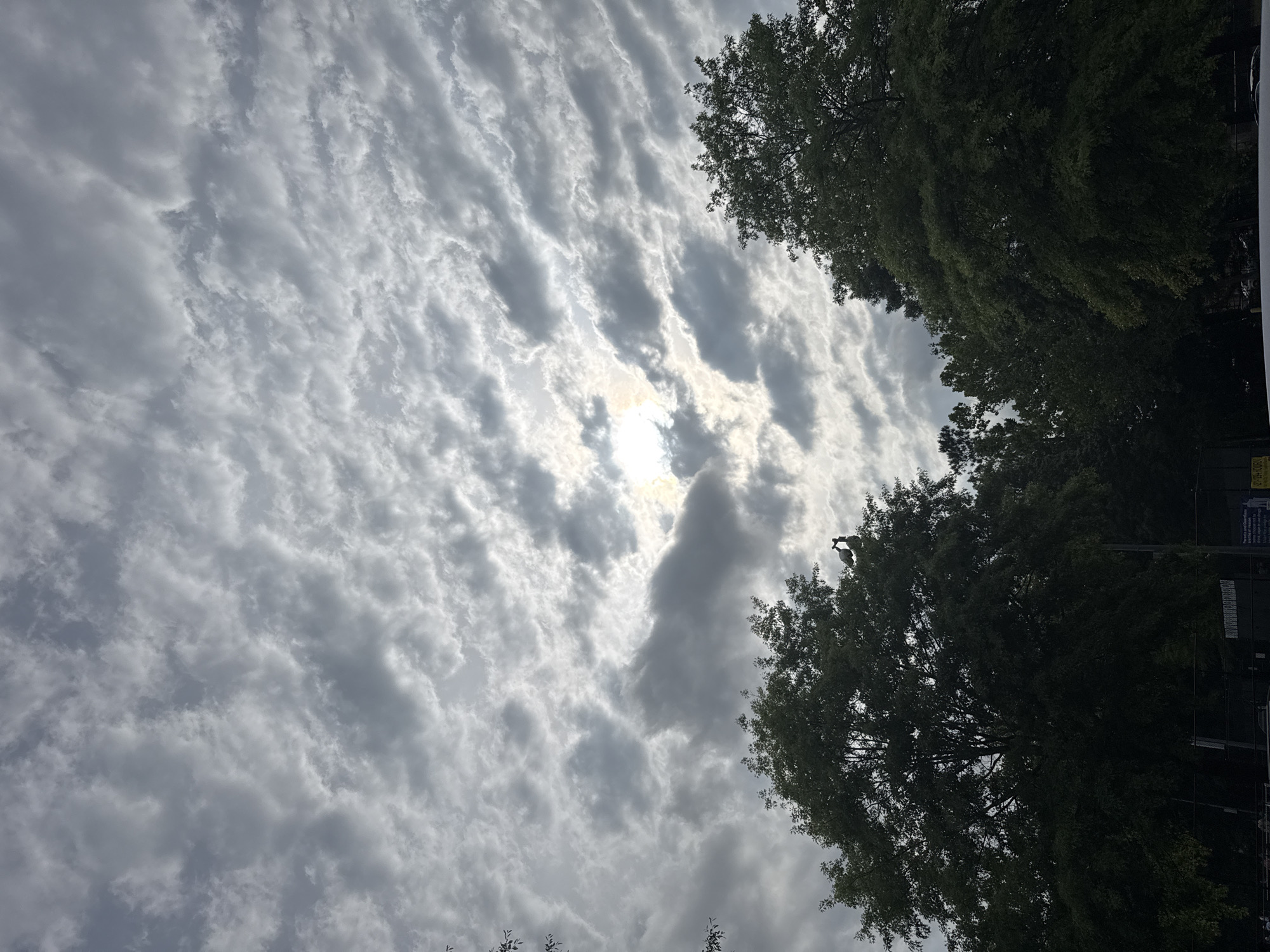 The image shows a view looking upwards towards the sky, with tree foliage visible on the right and top edges of the frame. The sky is filled with altocumulus clouds, creating a rippled or textured appearance. The sun is partially obscured by the clouds, creating a bright spot. The foliage appears to be from mature trees, and the overall scene suggests an outdoor setting. The location in Mountain Park, United States of America suggests it is a residential or park area with mature trees.