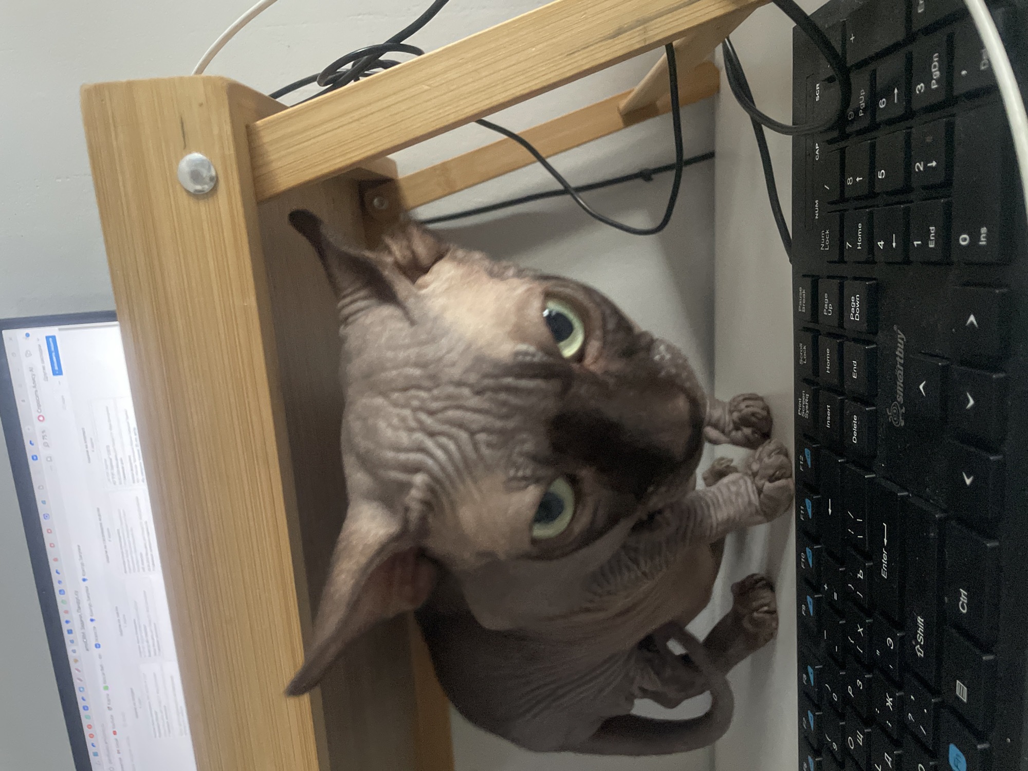 A close-up, high-angle shot of a hairless Sphynx cat near a computer keyboard, taken indoors. The cat's face is the focal point, with its wrinkled skin, large ears, and green eyes prominently displayed. The cat is positioned between a wooden desk frame and the keyboard, giving the impression it is peering up or reaching for something. The keyboard is black and oriented vertically on the right side of the frame, with key markings visible. A computer screen is partially visible on the left side, showing a website or application interface. A tangle of black cables is overhead. The background is a plain, light-colored wall or surface.