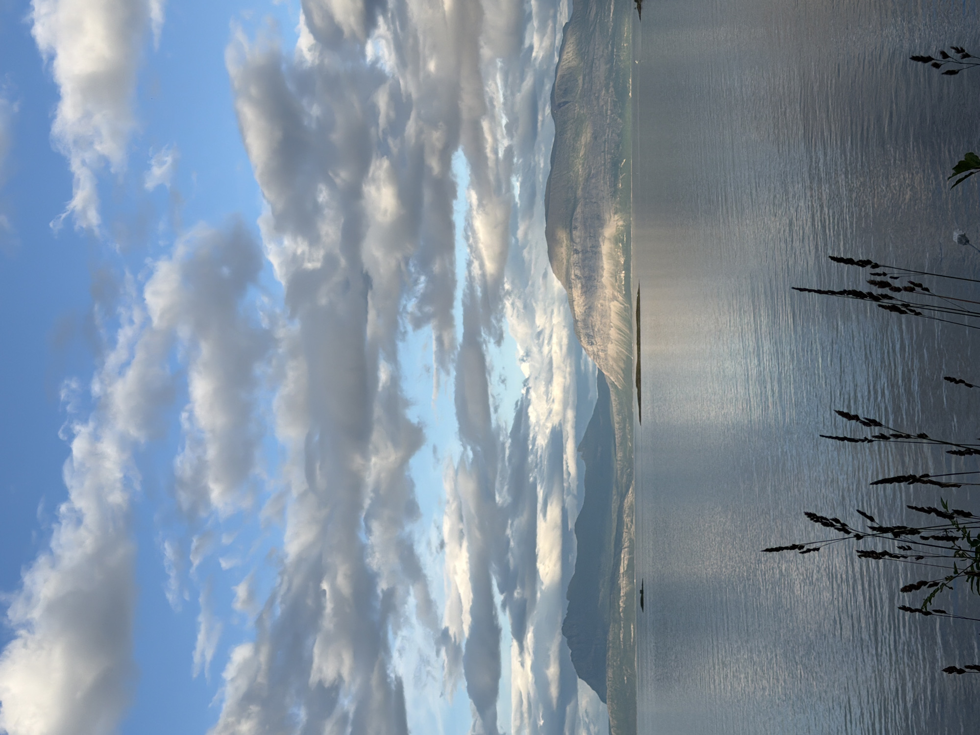 The image captures a serene seascape with a vast expanse of water reflecting the sky. In the foreground, tall grasses and stalks are silhouetted against the calmer water. The middle ground features a body of water with a few small islands and distant, majestic mountains that rise from the horizon. The sky is a dramatic canvas of blue with numerous clouds, some appearing bright white and fluffy, while others are darker and more textured, suggesting a dynamic weather system. The overall impression is one of natural beauty and tranquility. The location is likely the waters surrounding Harstad, Norway, given the typical landscape featuring fjords, islands, and mountains characteristic of the region.