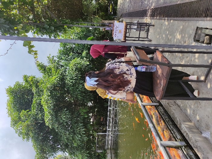 Three women are standing by a koi pond, looking at the fish swimming in the pond. The pond is surrounded by a concrete wall with a metal railing. The woman closest to the pond is wearing a yellow blouse. The woman in the middle is wearing a white and black floral blouse and black skirt. She is holding a water bottle in her left hand. The woman on the right is wearing a red headscarf. The women are standing near a wooden table and two chairs. The ground is paved with concrete. This scene is in Kecamatan Pujon, Indonesia, at coordinates (latitude: -7.856, longitude: 112.455). The environment is characterized by lush greenery, which is typical for the region. The scene is peaceful and serene, with a hint of relaxation.