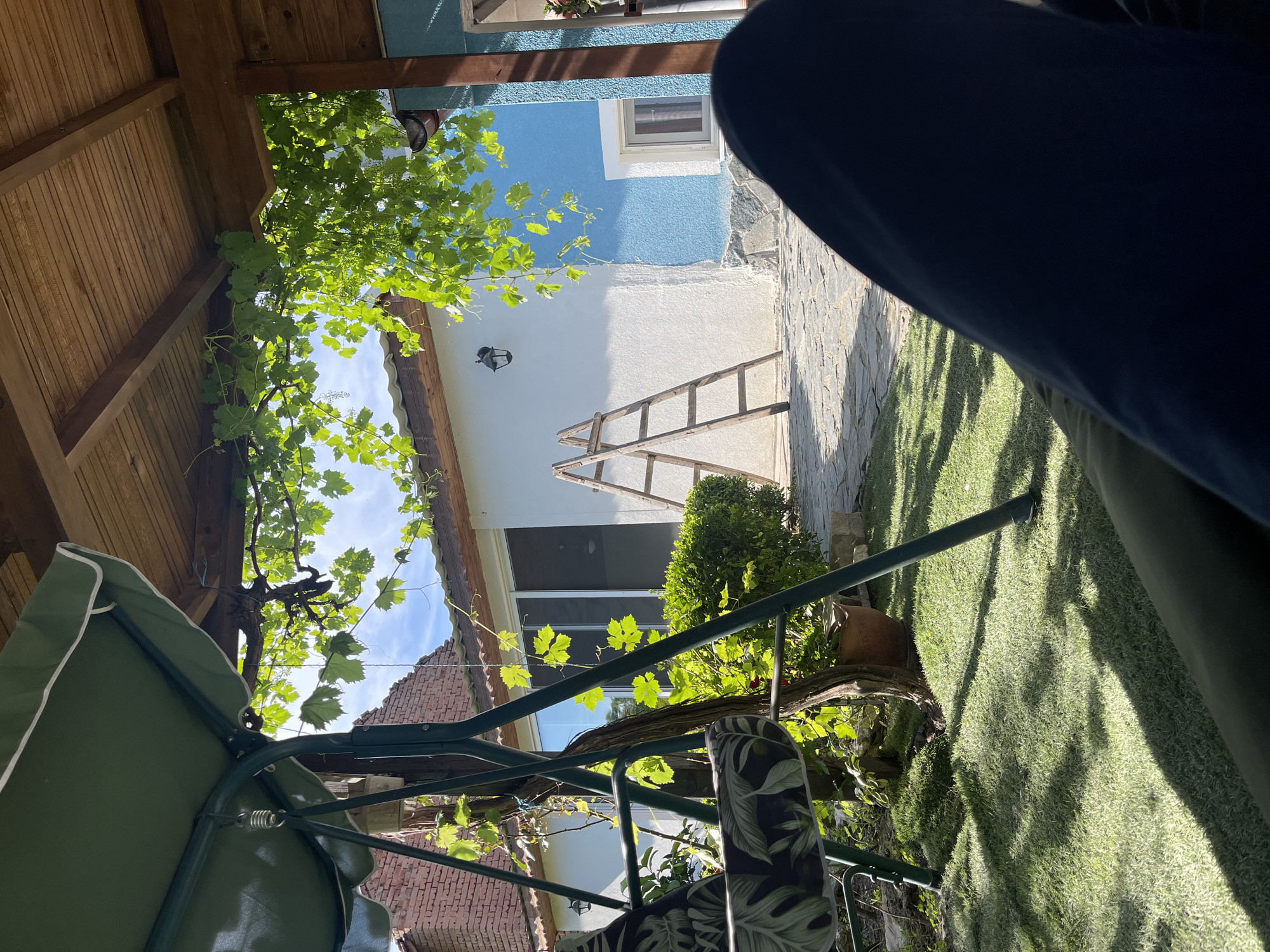 In the city of Totleben, Bulgaria, a close-up shot captures a leisurely scene from the perspective of someone relaxing on a swing. The swing, draped with a green canopy, is positioned on a vibrant green lawn. In the background, a white and blue house stands under a wooden pergola adorned with lush green grapevines. A wooden ladder leans against the house, suggesting ongoing or recent work. The overall ambiance is one of a peaceful, sunny day in a garden setting.
