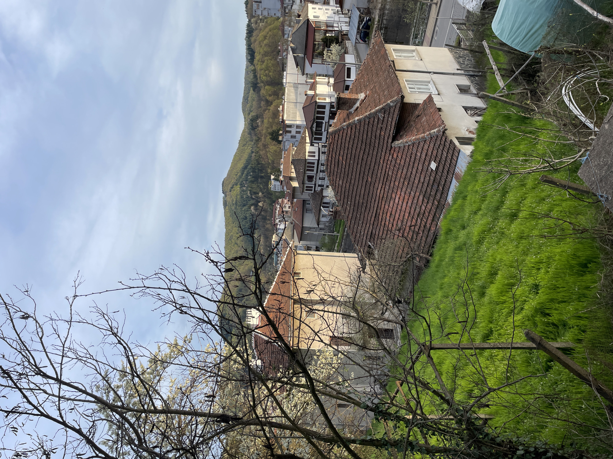 The image shows an elevated view of a neighborhood in Zlatograd, Bulgaria, situated against a backdrop of a tree-covered hillside. The foreground is dominated by bare branches, possibly a tree in early spring, and a grassy slope. Several buildings with reddish-brown tiled roofs are visible, along with beige-colored structures. A section of the city is visible at the top, with structures lining the road. The sky is partly cloudy.