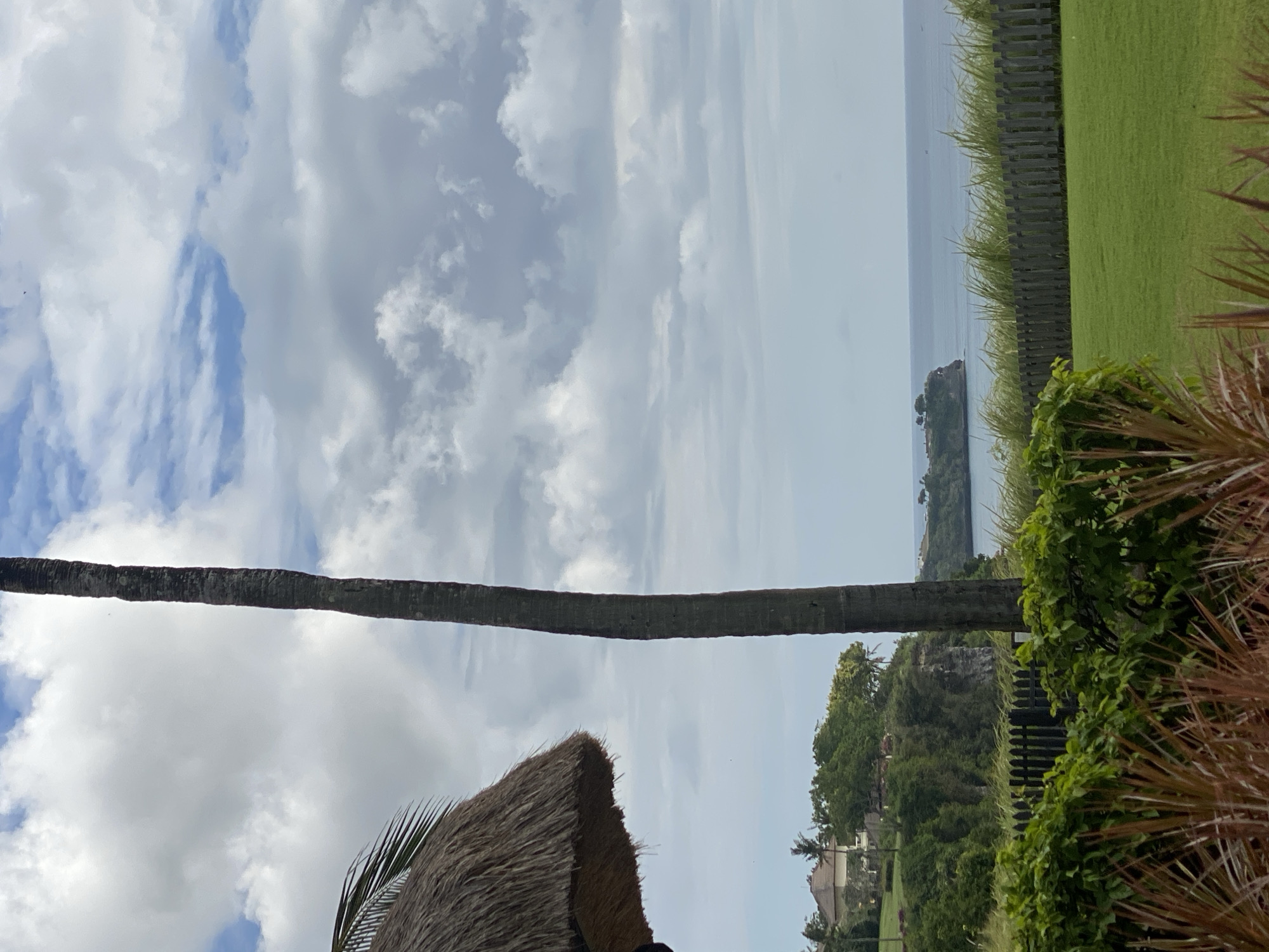 The image depicts a scenic view of the coastline in Kuta Selatan, Indonesia. In the foreground, a lush green lawn is bordered by a low wooden fence and tall grasses. To the left, a thatched-roof structure, possibly part of a resort or dwelling, peeks into the frame. Dominating the center of the image is a tall, slender palm tree, its trunk textured and dark. In the middle ground, a verdant cliff face is dotted with trees and a building, suggesting a developed area along the coast. The background features the vast expanse of the ocean meeting a cloudy sky. Several small structures are visible on a distant cliff jutting out into the sea, and a few boats are spotted on the water. The overall impression is one of a tranquil, tropical landscape.
