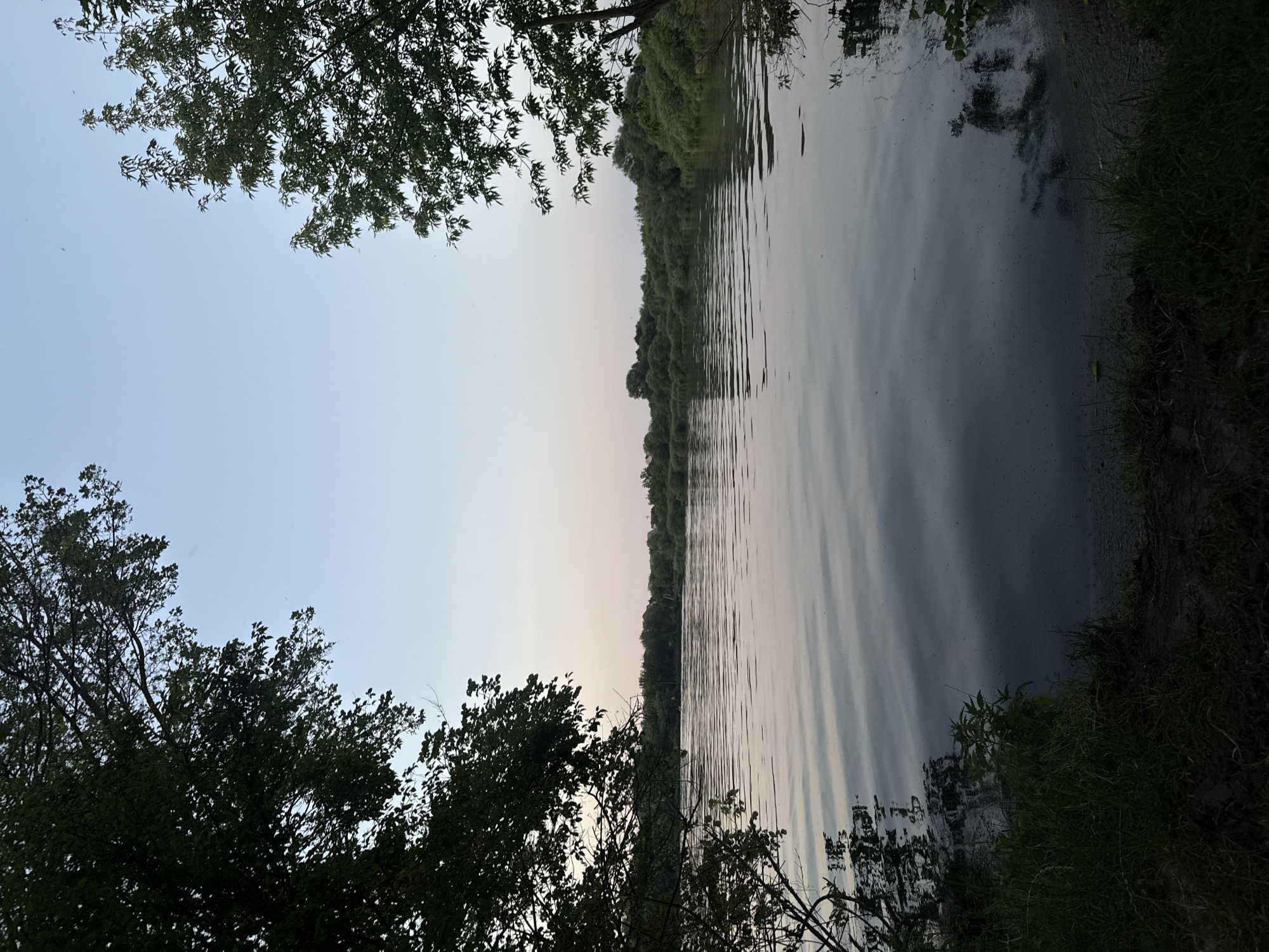 The image depicts a tranquil natural scene along the edge of a body of water, likely a lake or river, at dusk. The sky transitions from a pale blue at the top to a soft, hazy pinkish hue near the horizon, suggesting the last moments of daylight. Lush green trees and foliage frame the left and right sides of the image, with branches and leaves creating a natural border. The water's surface is disturbed by gentle ripples, reflecting the muted colors of the sky and the dark silhouettes of the trees and a distant tree line on the opposite bank. The overall mood is serene and peaceful, evoking a sense of calm. The scene appears to be in a natural, undeveloped area, with no visible signs of human presence or man-made objects, besides the implied context of the photograph itself. The time of day is clearly evening, and the weather appears to be calm, with no strong winds indicated by the water's surface.