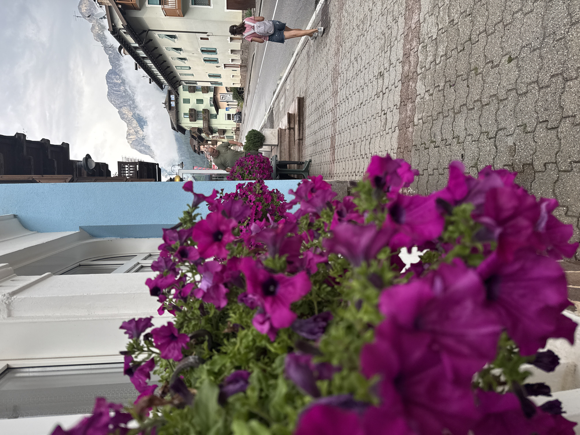 In Moena, Italy, a blurred foreground of bright pink petunias obscures a street scene. The petunias are in a planter box attached to a light blue building on the left. The building has white trim around a window and an archway. To the right of the blue building, a man in a green shirt stands on a stepped walkway, tending to a small green bush. He is looking down. Further down the paved sidewalk, a woman with a backpack walks away from the camera. She wears a pink t-shirt and denim shorts. The street is lined with buildings with balconies and peaked roofs, set against a backdrop of misty mountains. The sky is overcast. The paving stones on the sidewalk are a light gray interlocking pattern. A red line of stones marks a boundary on the sidewalk.