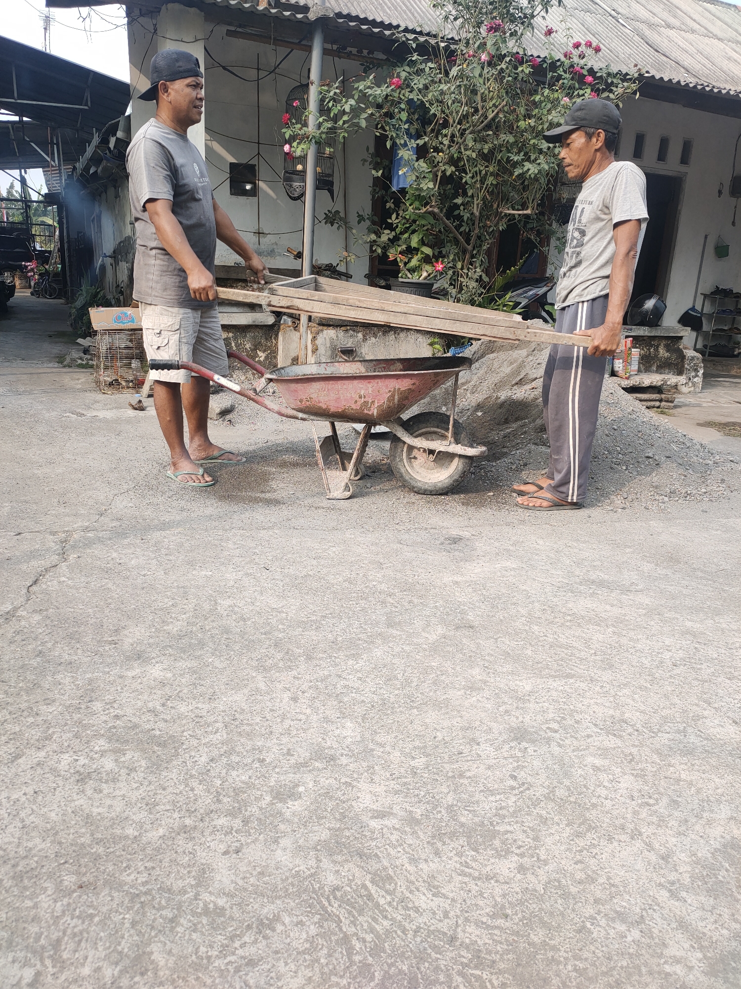 Two men are standing in what appears to be a construction or renovation area in front of a building. The man on the left is wearing a grey t-shirt, tan cargo shorts, and a black baseball cap. He is holding the handles of a red wheelbarrow, which is loaded with wooden planks. The man on the right is wearing a grey t-shirt with text, dark grey pants with white stripes, and a black baseball cap. He is also holding onto the wooden planks in the wheelbarrow, assisting the other man. The ground is paved with concrete, and a pile of grey gravel is visible behind the wheelbarrow. A house with a corrugated metal roof is in the background, with a tree with pink flowers growing next to it. The scene suggests manual labor related to construction or repair work. The location is identified as Kanigoro, Indonesia, based on the provided information.