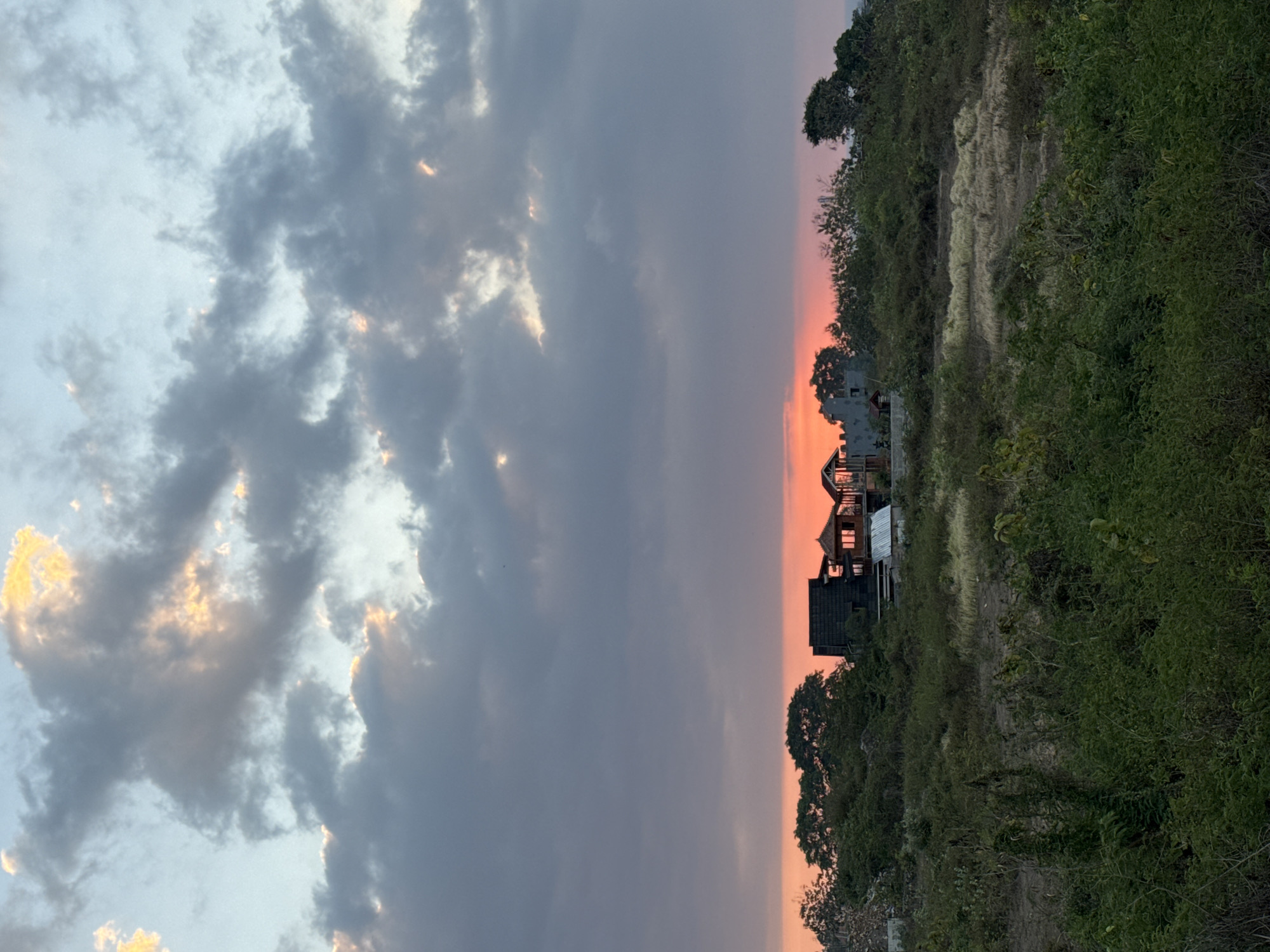 In Kuta Selatan, Indonesia, a twilight scene unfolds over a semi-developed landscape. The sky is a canvas of dramatic clouds, with patches of soft yellow light breaking through the otherwise gray and muted tones, hinting at the lingering sun. Below the sky, a vibrant band of orange-pink sunset stretches horizontally, creating a stark contrast with the darker hues above.
The middle ground is dominated by a dense growth of various trees and vegetation, their silhouettes dark against the sunset. Nestled within this greenery are a few structures. One prominent building appears to be a multi-story house or resort with a dark, angled roof. Adjacent to it are other partially constructed buildings and what seems to be a smaller, open-sided structure. The architecture suggests a tropical, possibly unfinished, development.
The foreground is a dense expanse of wild, green vegetation, a mix of tall grasses, leafy plants, and possibly some small trees, giving the impression of an untamed or undeveloped area. The overall impression is one of a remote or developing location on the edge of a coastal town, bathed in the soft, fading light of dusk. There are no people visible in the image.