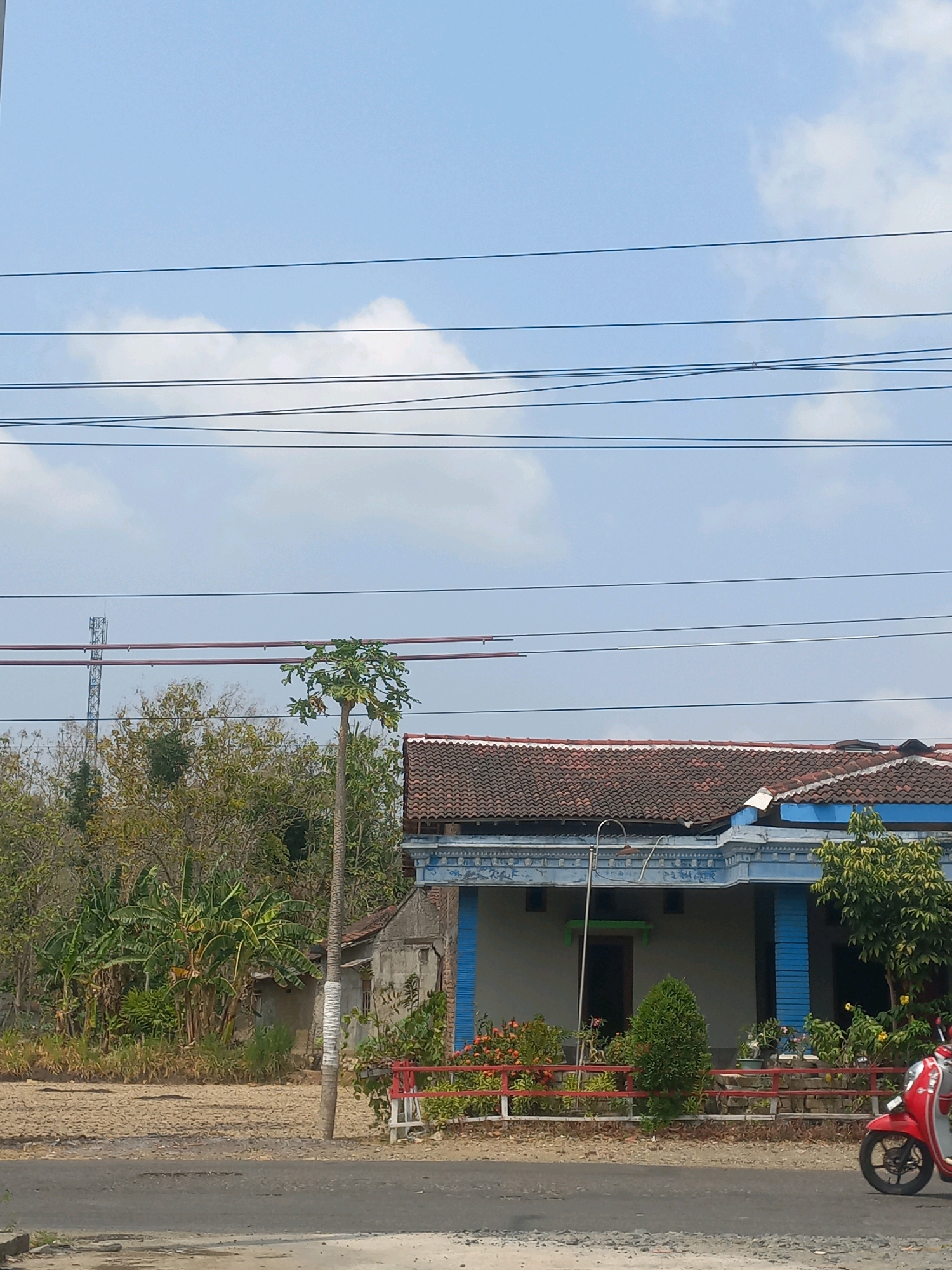 The image depicts a residential area in Baturetno, Indonesia, under a clear blue sky with scattered clouds. In the foreground, a paved road is visible, with the edge of another road to the lower left. To the right, a red scooter is parked near the edge of the road. A low red and white fence runs along the front of a property, beyond which is a small garden with various plants and flowers. A house with a tiled roof and blue accents on its facade is situated behind the fence. A thin, tall tree with sparse foliage stands to the left of the house. Further back, a dense area of trees, including banana trees, is visible. A cell tower can be seen in the distance on the left. Several power lines crisscross the upper portion of the image, dividing the sky. The ground appears dry and somewhat barren in the area behind the fence and to the left of the house.