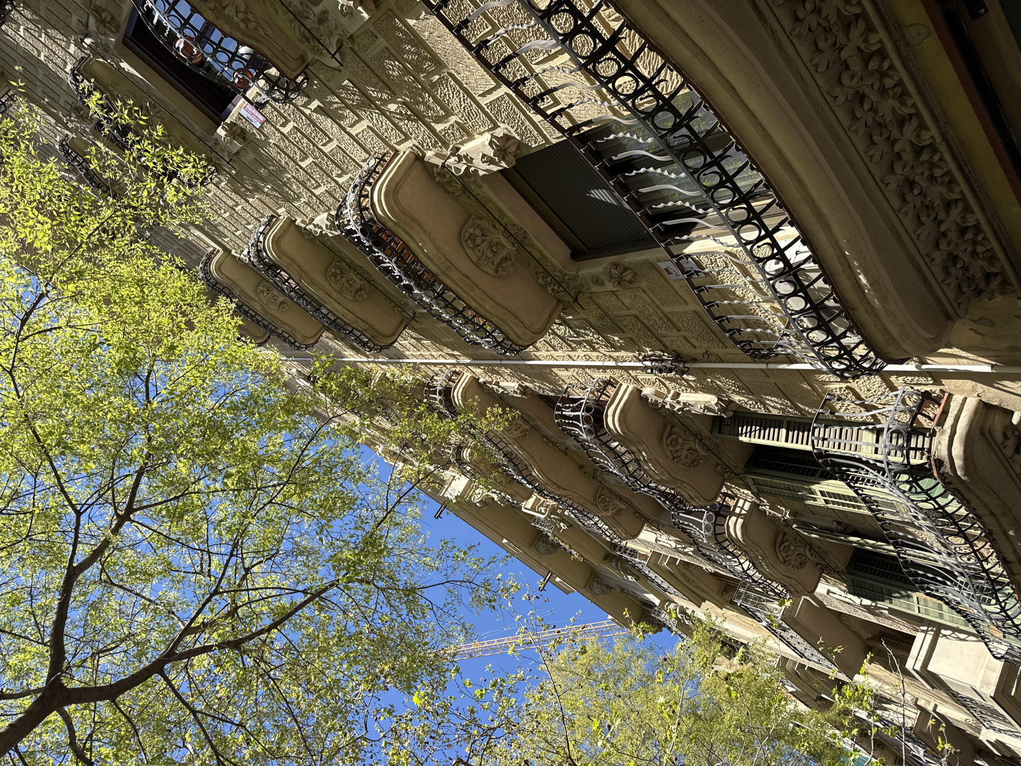 The image presents an upward view of a building facade with ornate balconies and windows, set against a backdrop of tree branches with light green leaves and a blue sky. The building's architecture features detailed stonework, decorative molding, and iron railings on the balconies. A crane is visible against the sky. The location is Barcelona, Spain, and is the exterior of the Casa Batlló, a building designed by Antoni Gaudí. The photograph captures the unique architectural style and natural elements.