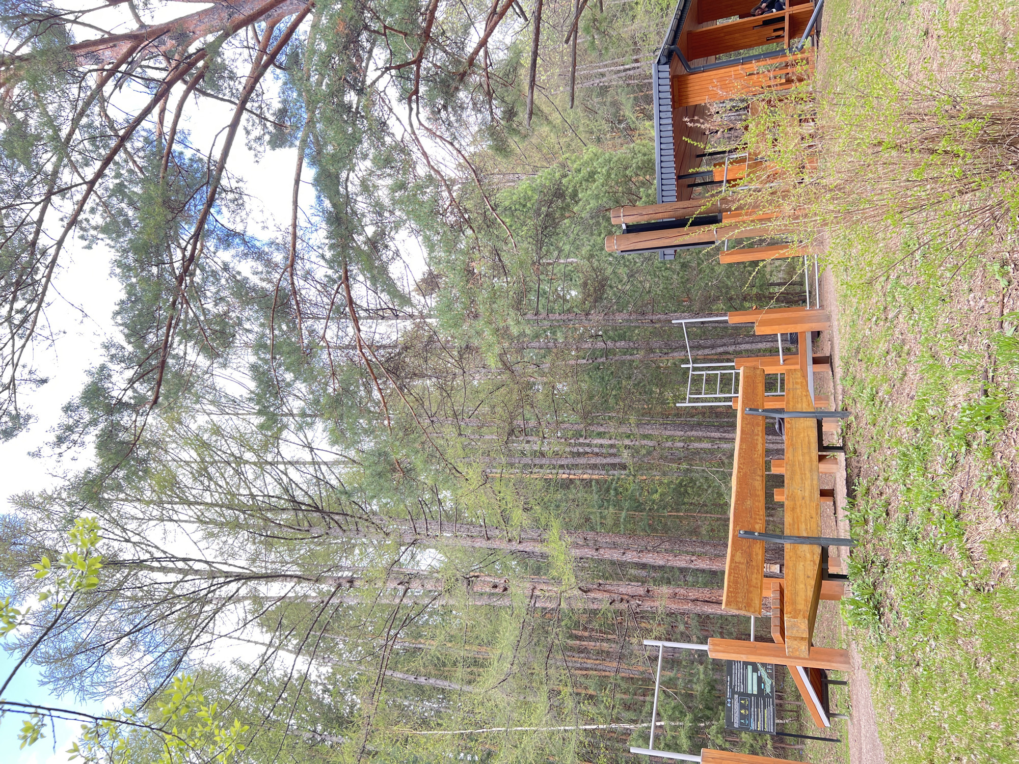 The image shows a forest environment. Trees populate the background, partially obscuring the sky. In the foreground, there is a wooden structure with benches. Next to the structure, there is a grassy area. The image shows the location in the city of Krasnoyarsk, Russia.