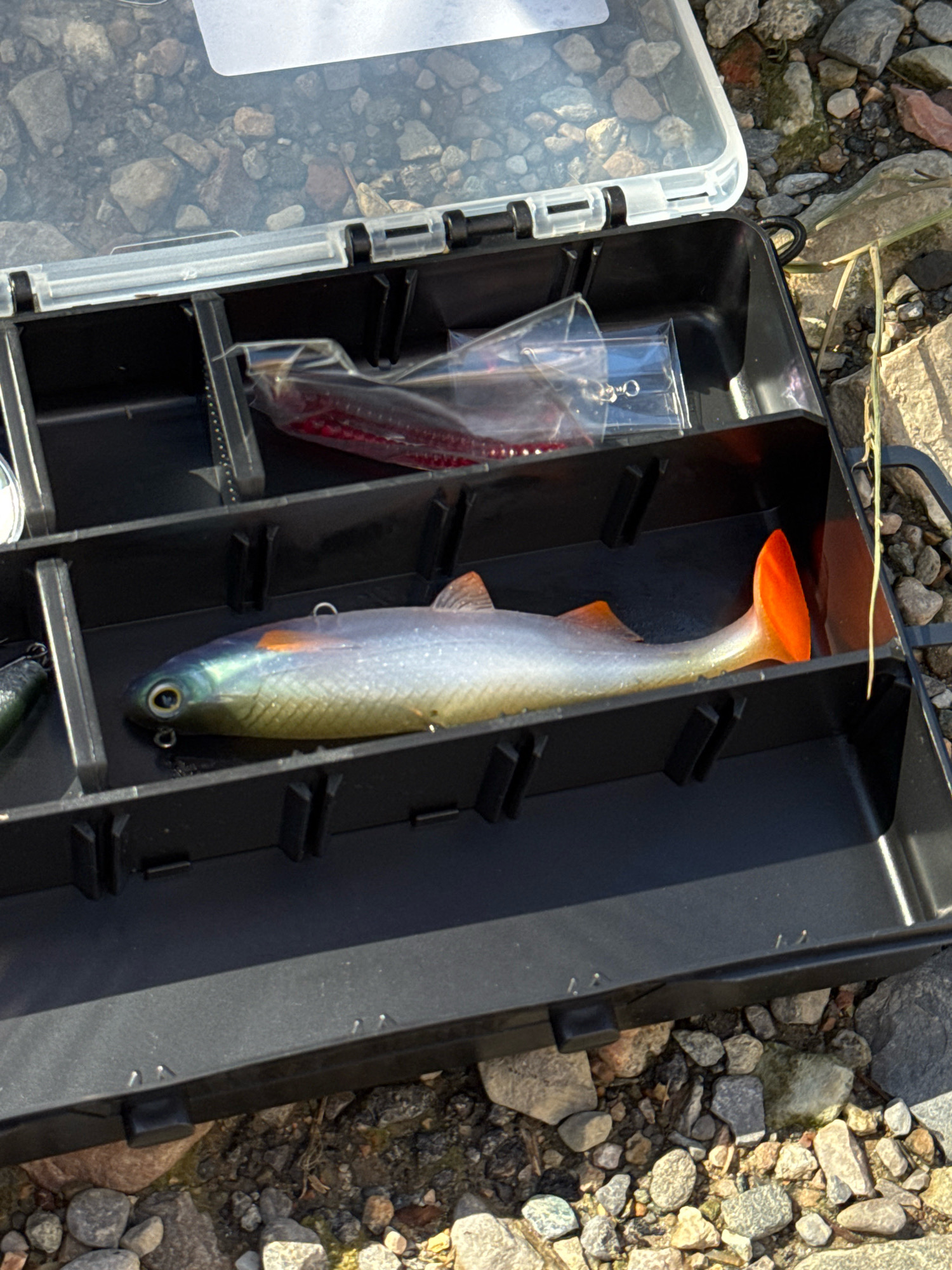 A fishing tackle box sits open on a gravelly surface. The box is black with a clear plastic lid. Inside the box are compartments containing fishing lures. One compartment holds a red, segmented fishing lure in a plastic bag. Another compartment contains a single, realistic-looking fish-shaped lure with a green head, iridescent silver body, and an orange tail. The lure has a hook visible near its head. The surrounding environment appears to be outdoors, with small and medium-sized rocks and some dry grass. The image does not provide any information about the city of Penzano, Italy.