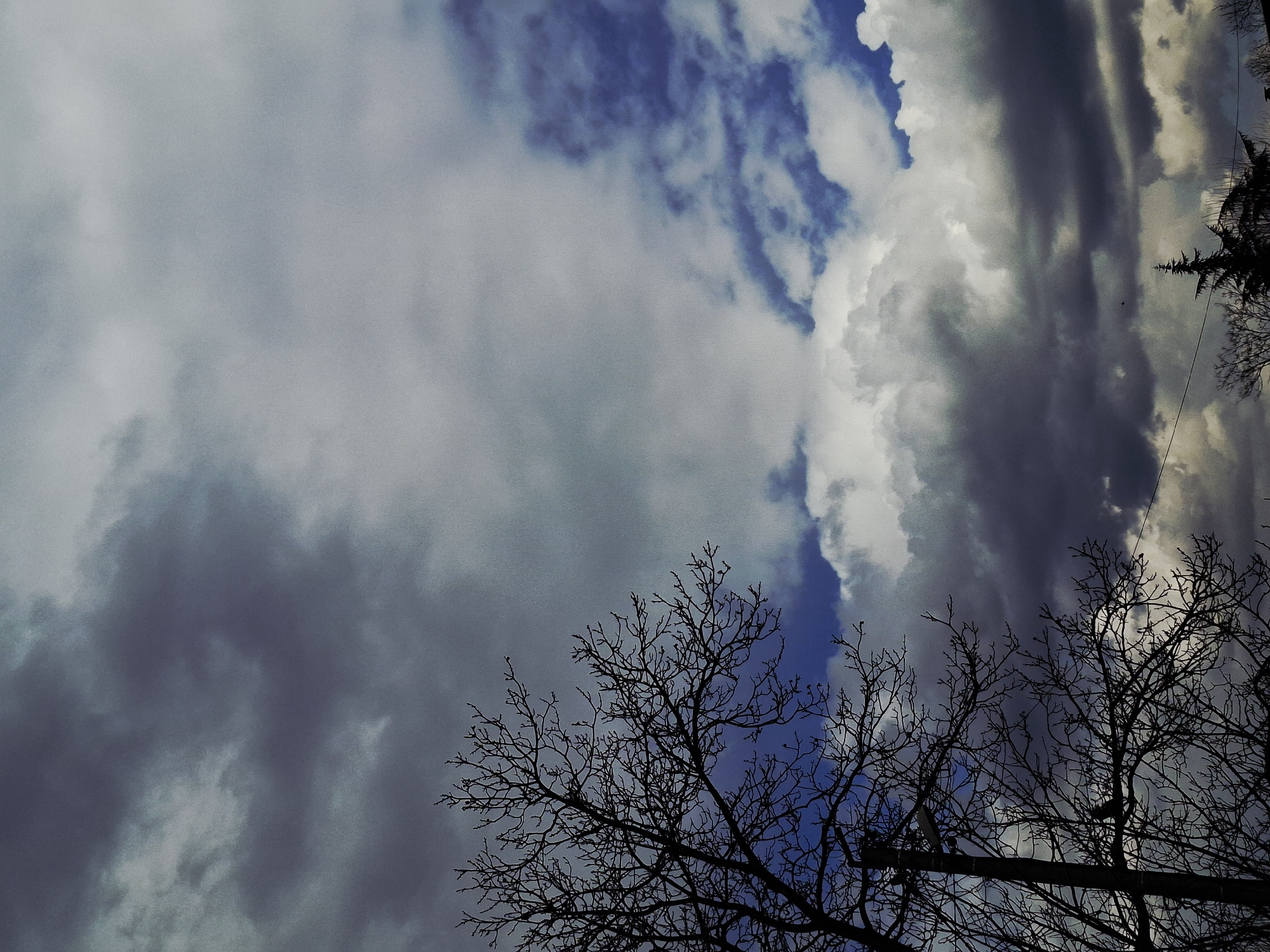 The image captures a low-angle view of the sky, partially obscured by bare tree branches. The sky features a mix of light and dark clouds, with patches of blue visible in certain areas. The clouds appear dynamic, with varying shapes and densities. The silhouetted tree branches contrast against the sky, creating a stark visual contrast. The location and city are unknown.
