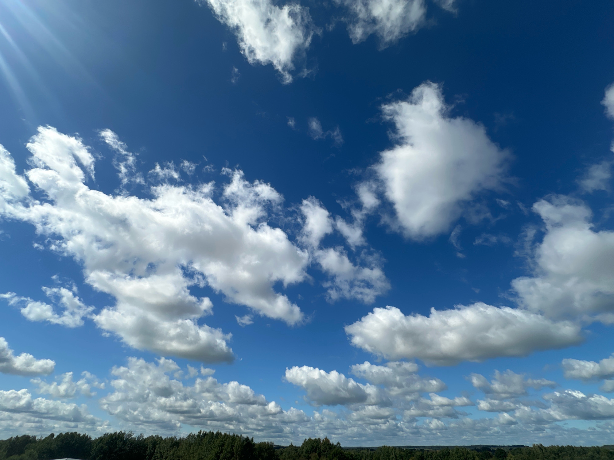 The image shows a bright, cloudy sky over a dense green tree line. The sun is partially visible in the upper left corner, casting rays of light. The sky is a deep blue, with scattered white cumulus clouds of various sizes and shapes. The lower portion of the image is dominated by a dark green band of trees, suggesting a natural or park-like environment. There are no people or specific objects visible other than the natural elements. The overall impression is a serene outdoor scene. While the specific location is stated as Шчомысліцкі сельскі Савет, Belarus, this information cannot be visually verified from the image content itself.