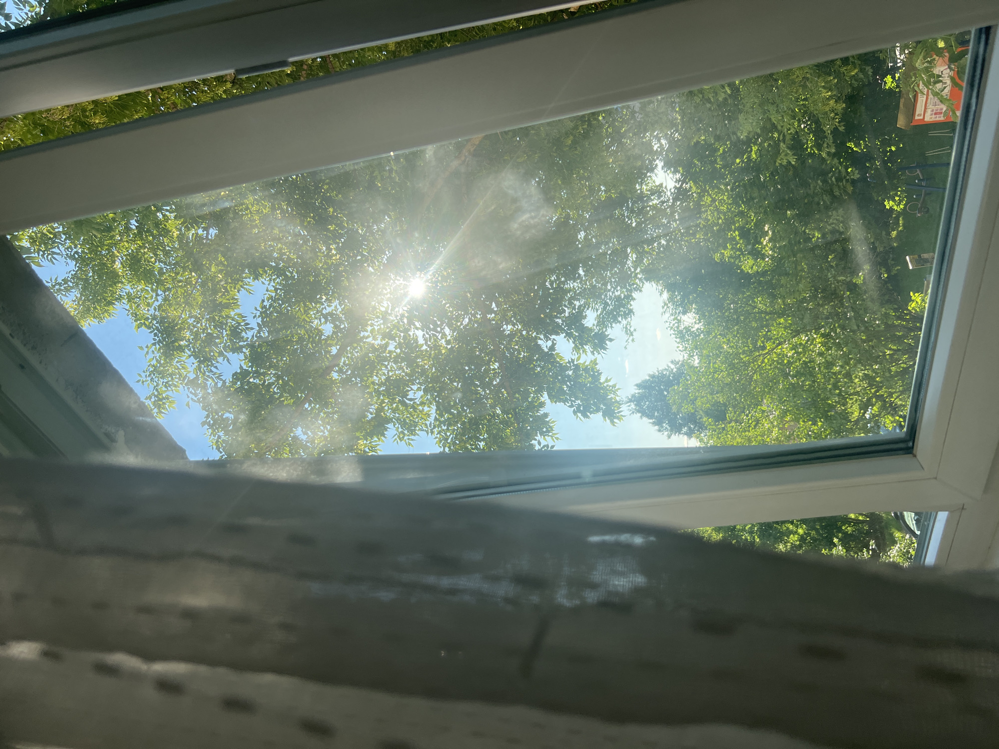 An interior shot looking out a window reveals a bright, sunny day with lush green trees and a blue sky visible. The sun is shining through the leaves, creating visible light rays. A sheer, light-colored curtain is partially obstructing the view on the left side of the frame. The window frame is white. In the background, through the trees, there appear to be some playground equipment and a red structure with some text on it. The overall impression is that of a peaceful, summery scene.