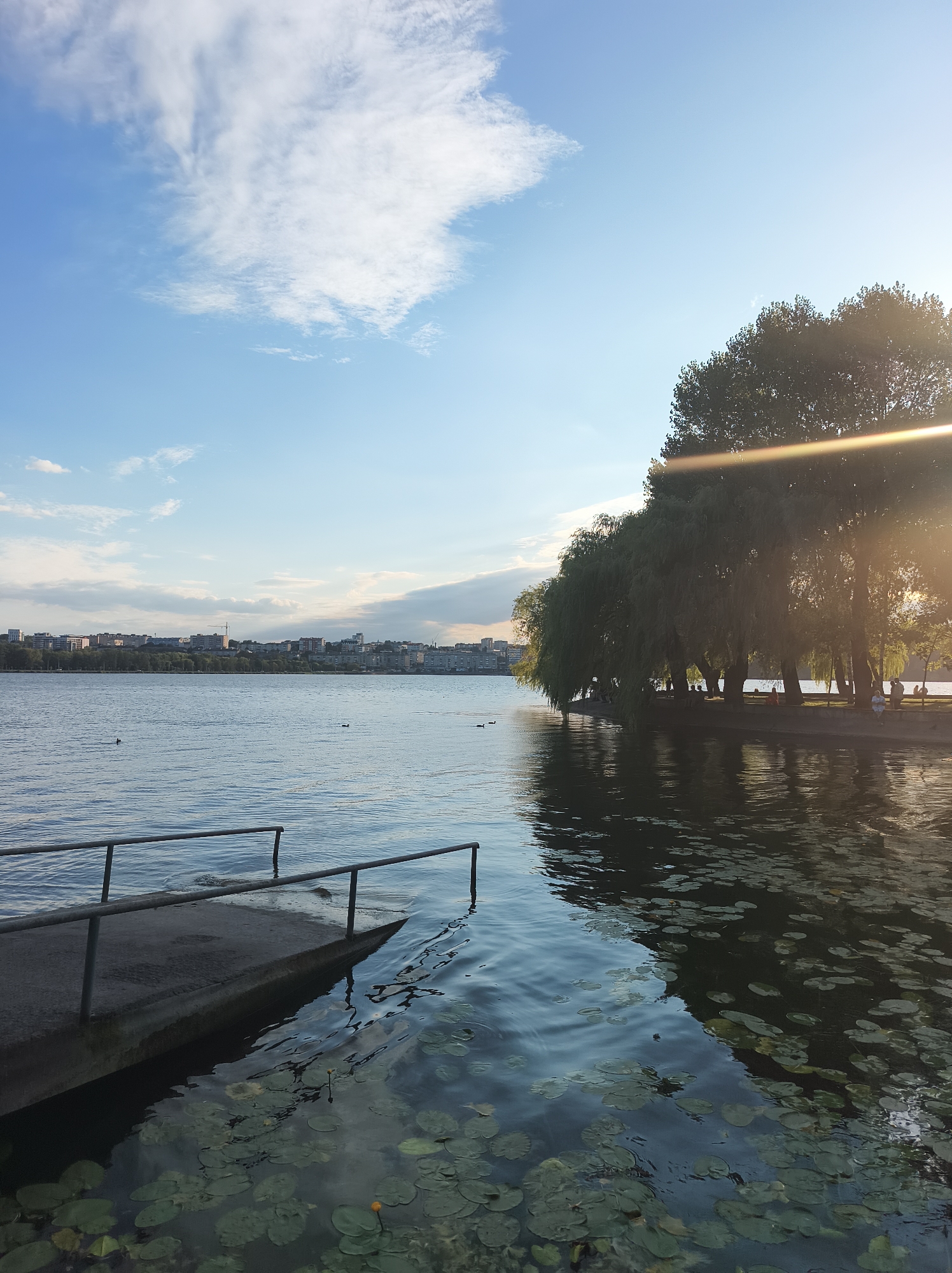 The image depicts a waterfront scene in Ternopil, Ukraine, likely at Ternopil Pond, also known as Ternopil Lake. In the foreground, a concrete dock with metal railings extends into the water, which is dotted with lily pads. The water surface exhibits ripples and reflections of the sky and surrounding trees. In the middle ground, a line of trees, including willows, lines the shore, with a few distant ducks visible on the water. The background features a cityscape with buildings and a few cranes, suggesting an urban environment. The sky is a clear blue with scattered white clouds, and the sun is shining, casting a lens flare across the trees on the right side of the image. Several silhouetted figures are present along the waterfront, some seated and others standing, appearing to be enjoying the scenic view. The overall atmosphere is peaceful and serene, characteristic of a public park or recreational area.