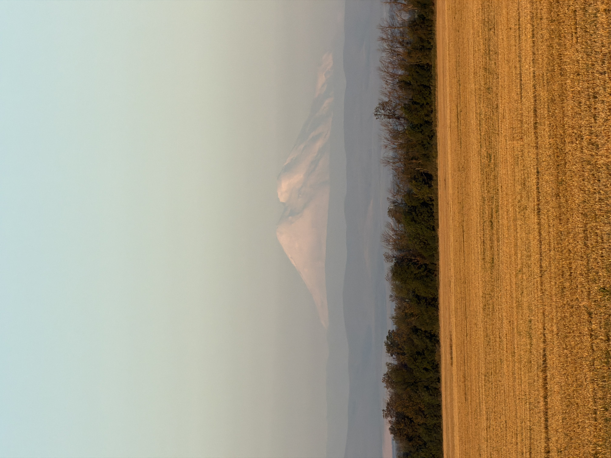The image depicts a wide, rural landscape under a clear, pale sky transitioning from light blue to a soft yellow hue near the horizon. In the foreground, a harvested field of golden wheat stubble stretches across the frame, showing the parallel tracks of agricultural machinery. A dense line of dark green trees forms a natural border between the field and the distant background.
Beyond the trees, rolling hills fade into a misty haze. Dominating the far distance is a large, snow-capped mountain range. The peaks are softened by atmospheric perspective, appearing as a pale, almost ethereal presence against the sky.
The scene appears to be captured during the golden hour, likely late afternoon or early morning, given the warm, diffused light illuminating the field and casting soft tones on the landscape. The image does not contain any people or discernible structures within the city of Pyatigorskii. The overall impression is one of natural tranquility and vastness.