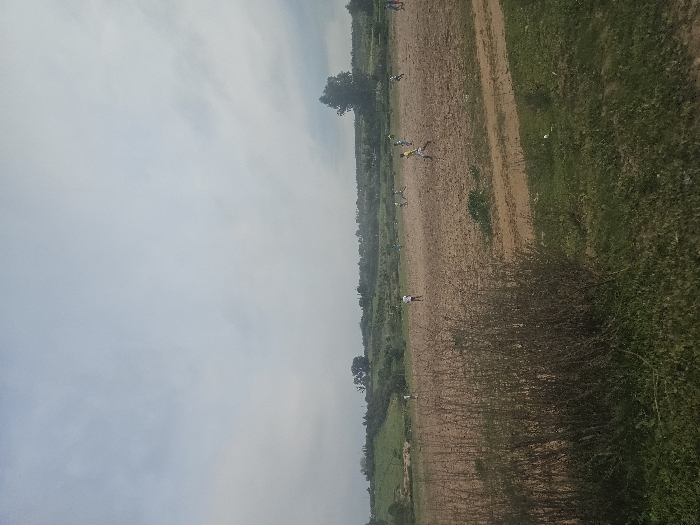 The image depicts an outdoor scene in Ameur عامر, Morocco, under an overcast sky with light grey cloud cover. Approximately 11-12 males are observed engaged in a game of soccer on an unpaved, reddish-brown dirt field.
The foreground consists of dense, dark green shrubs on the lower left, transitioning into shorter green grass and patches of bare earth on the lower right, where a dirt path or track is visible.
The midground is dominated by the expansive, dry, and uneven reddish-brown dirt field, which lacks formal pitch markings. Individuals, primarily wearing light-colored tops (white, yellow) and darker bottoms, are distributed across this field. One male in a yellow shirt and dark shorts is running forward in the mid-right, positioned near a light-colored football. Other players are scattered across the field, indicating active participation in the game.
The background features green, undulating terrain or agricultural land, sparsely populated with trees. Faint, indistinct structures are discernible on the distant horizon line to the far left.