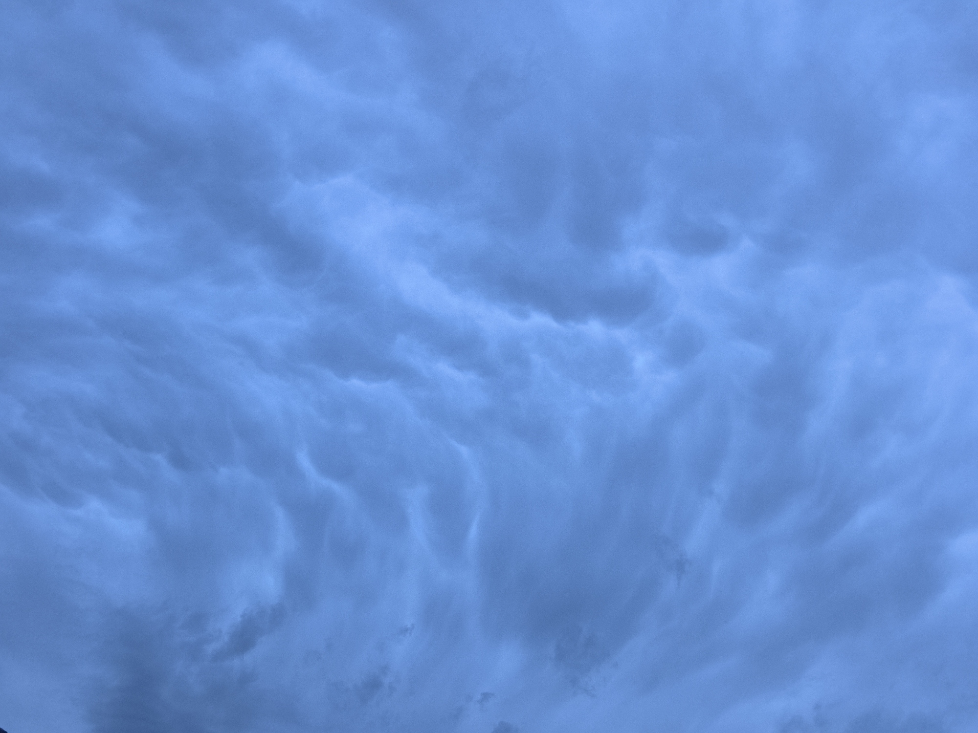 The image depicts a sky filled with mammatus clouds, characterized by their pouch-like protrusions hanging from the underside of a cloud. The clouds are a deep, moody blue, suggesting either an approaching storm or the aftermath of one. There are no visible people, subjects, or objects. The environment is solely the sky. The image does not provide any specific geographical markers that would indicate its location within Taldykorgan, Kazakhstan.