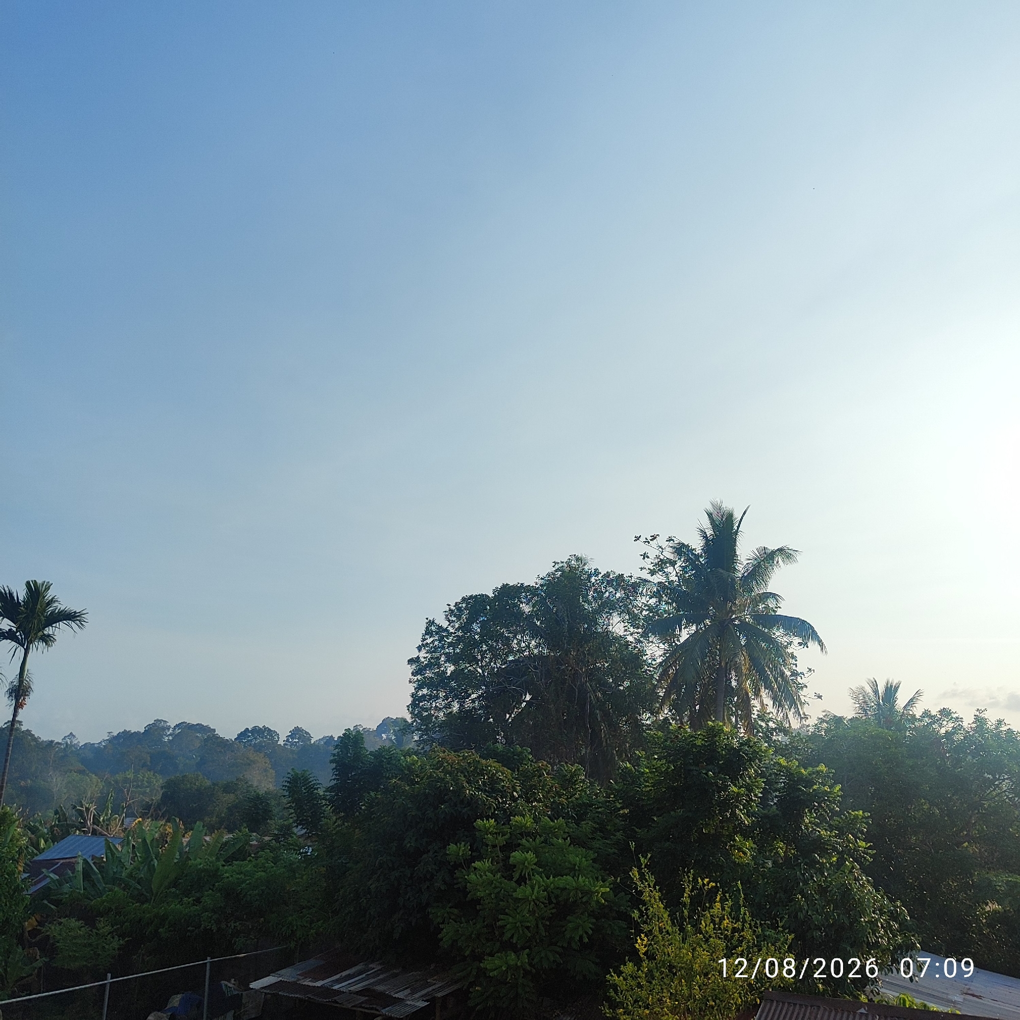 The image captures a tranquil morning scene in Buding, Indonesia. The sky is a clear, bright blue with a hint of soft light near the horizon. Dense green foliage dominates the landscape, with a variety of trees, including palm trees, creating a lush canopy. In the foreground, glimpses of what appear to be residential structures with corrugated metal roofs are visible, suggesting a rural or semi-rural setting within the city. A single, tall palm tree stands prominently on the left side of the frame. The overall atmosphere is peaceful, with the morning sun casting a gentle glow over the natural surroundings. The timestamp in the lower right corner indicates the image was taken on August 12, 2026, at 07:09.
