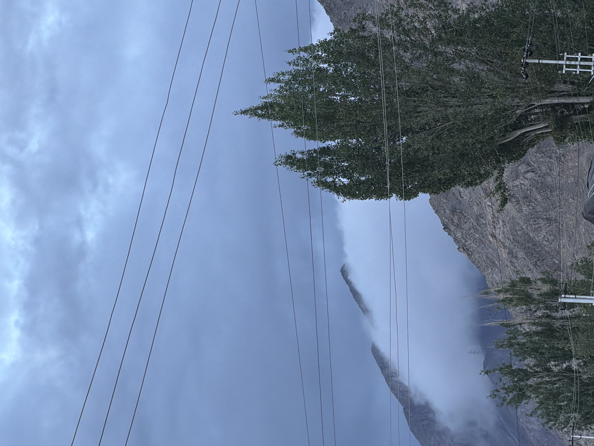 The image shows a mountainous landscape with a cloudy sky. In the foreground, there are several tall trees with green foliage. Power lines are visible crisscrossing the sky. In the background, the mountains are rocky and partially obscured by mist or clouds, giving them a dramatic appearance. The overall scene depicts a natural environment, possibly a rural or remote area, with man-made elements like power lines suggesting human presence. The location is identified as the city of Leh, India, a region known for its high-altitude desert climate and stunning mountain scenery.