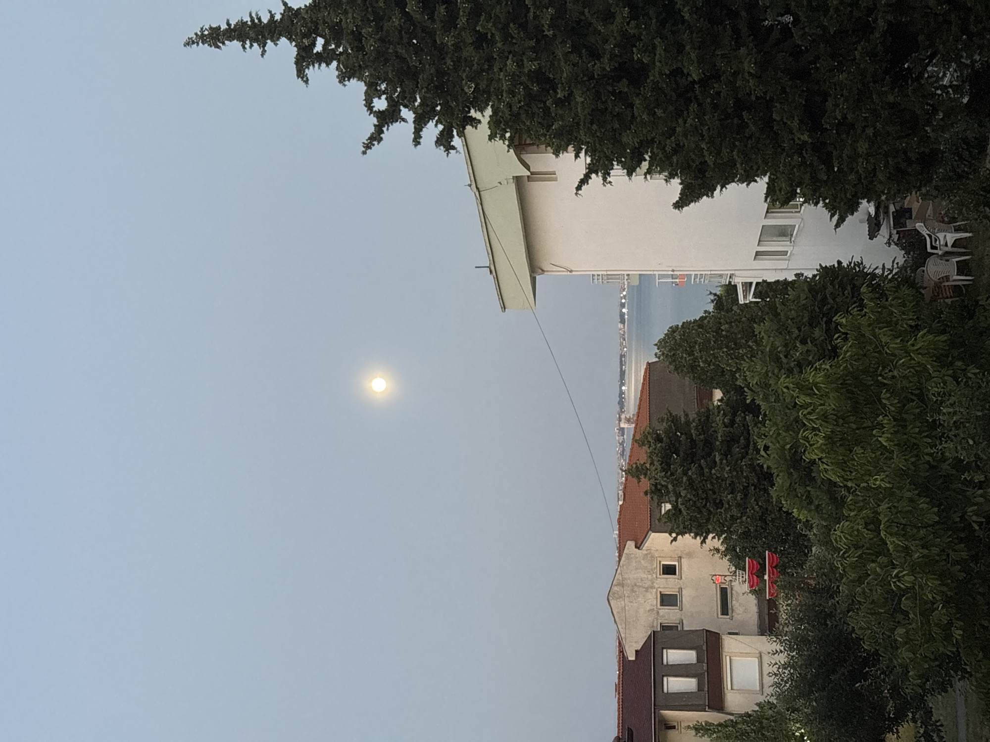 A full moon is visible in the pale blue twilight sky above buildings and lush green trees. In the foreground, a tall, dark green evergreen tree dominates the right side of the frame. To the left, a white apartment building with a light green overhang is partially visible. Behind it, a section of a smaller building with a red-tiled roof is seen, followed by another building with a light-colored facade and windows. Further back, the blue expanse of the sea is visible, with a distant coastline dotted with lights. The overall impression is a serene evening scene in a coastal town. The location is Sveti Vlas, Bulgaria.
