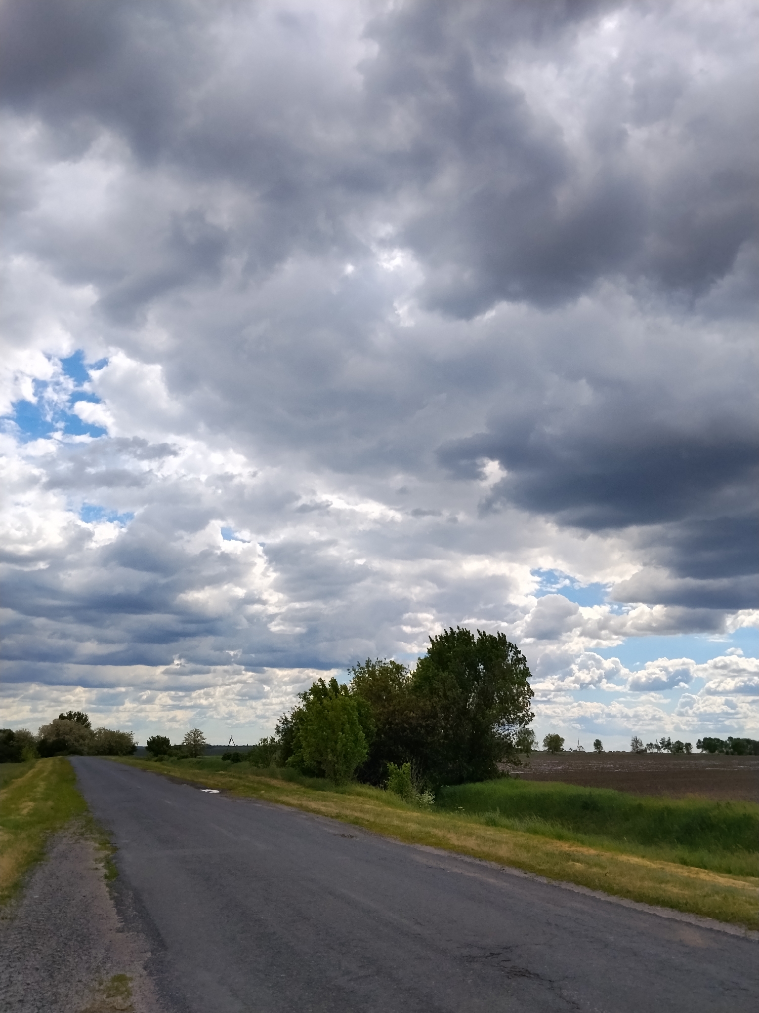The image shows a paved road running through the countryside near Ustyvytsia, Ukraine. The sky is filled with dramatic clouds, ranging from light gray to dark gray, with patches of blue visible. The road is gray and stretches into the distance, with grass and a small embankment on the left side. On the right, a patch of green grass gives way to darker vegetation, including trees and shrubs. Beyond the vegetation, a field can be seen. The lighting suggests an overcast day. There are no people visible in the frame.