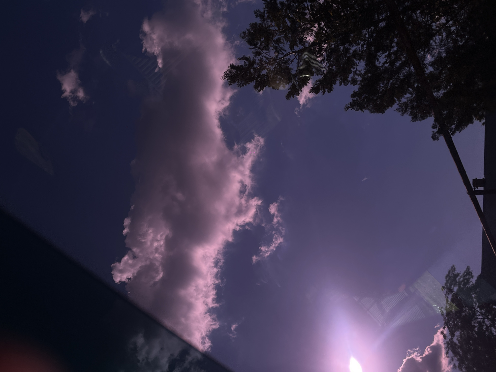 This image presents an upward view of a sky at what appears to be twilight or late afternoon, characterized by a deep purple-blue color palette. Prominent pinkish-white clouds are scattered across the frame, with a large, dense formation stretching from the upper left towards the lower center.
Dark, silhouetted tree branches and foliage are visible in the upper right and central portions of the image, extending into the sky. A bright, intense light source, likely the sun, creates a significant lens flare in the bottom right corner, casting a brilliant white and purple glow that illuminates the surrounding clouds.
The photograph appears to have been taken through a reflective surface, possibly glass, as evidenced by distinct reflections seen across the sky. These reflections include clear grid-like patterns and faint, elongated outlines that resemble architectural structures or window frames, subtly layered over the clouds and sky. A dark, diagonal element occupies the lower-left corner, possibly part of a vehicle's interior or a window frame, while a dark vertical structure frames the far right edge.
The scene conveys a serene yet dramatic atmosphere, typical of a sunset or twilight moment in Novopokrovskaya, Russia. There is no visible text in the image.