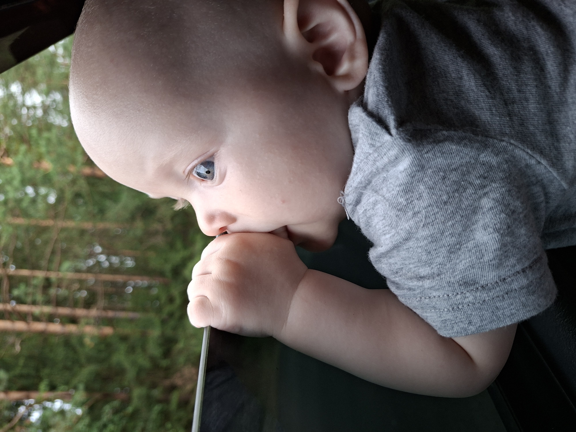 A baby with light skin, bald head, and blue eyes looks out of a vehicle window. The baby is holding onto the window frame with its left hand and has its right hand near its mouth. The baby is wearing a grey t-shirt. Outside the window, there is a blurred background of green trees and tall brown trees. The image is a close-up shot, focusing on the baby's face and arm. The lighting suggests it is daytime. There is no specific information that would indicate the location in Votkinsk, Russia.