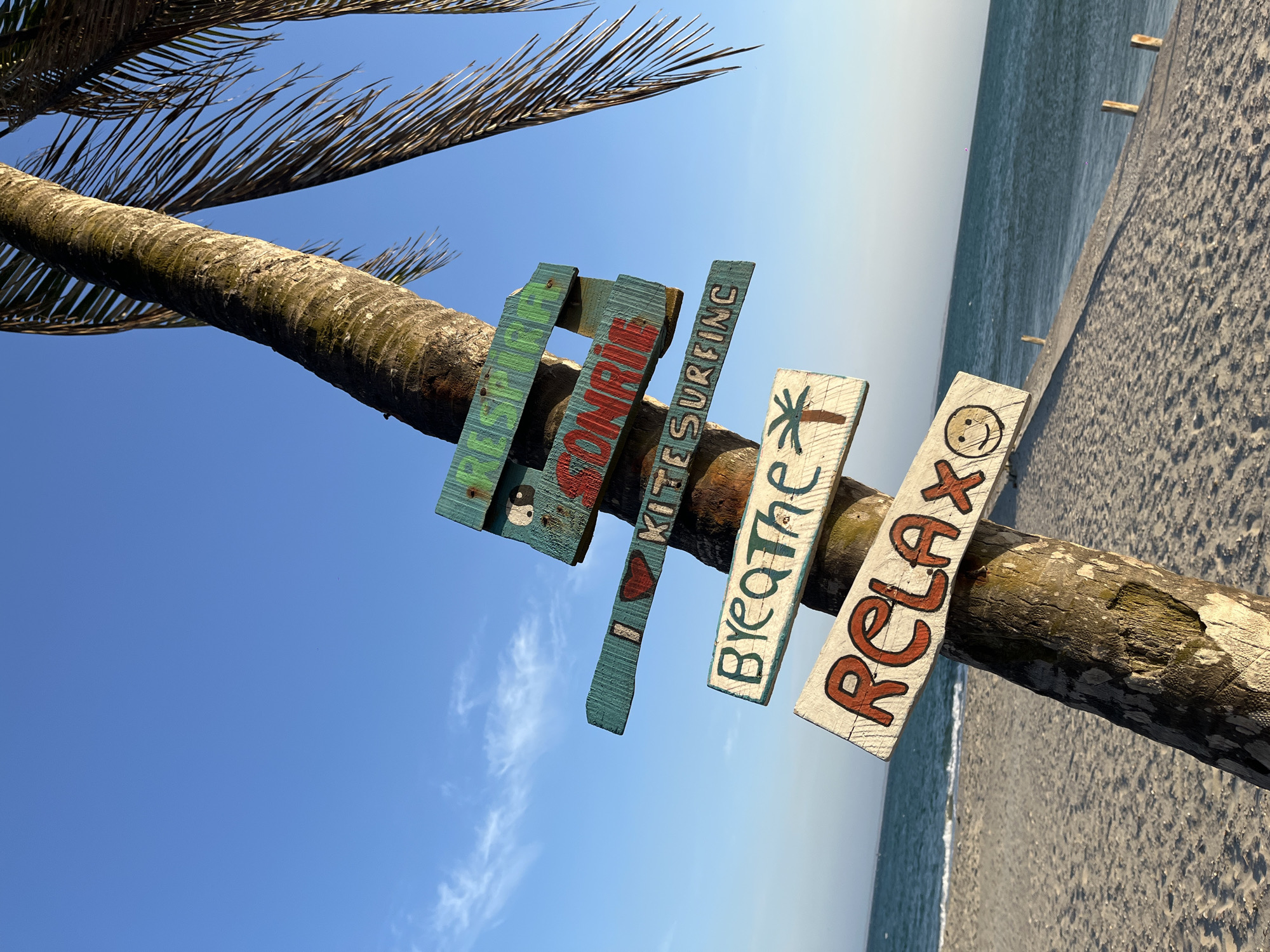 A medium shot angled upward shows a palm tree on El Yaque beach in El Yaque, Venezuela, with painted wooden signs attached to the trunk.
The beach is sandy and slopes down to the ocean. The ocean stretches toward the horizon where it meets the sky. The sky is clear blue with a few wispy white clouds.
Attached to the palm tree's trunk are four wooden signs, each painted with different words. The top sign reads "Sunrise" and has a green and red color scheme. The second sign reads "I love kitesurfing" and has a blue and red color scheme. The third sign reads "Breathe" and has a picture of a palm tree. The bottom sign reads "Relax" and has a smiley face drawing on it.