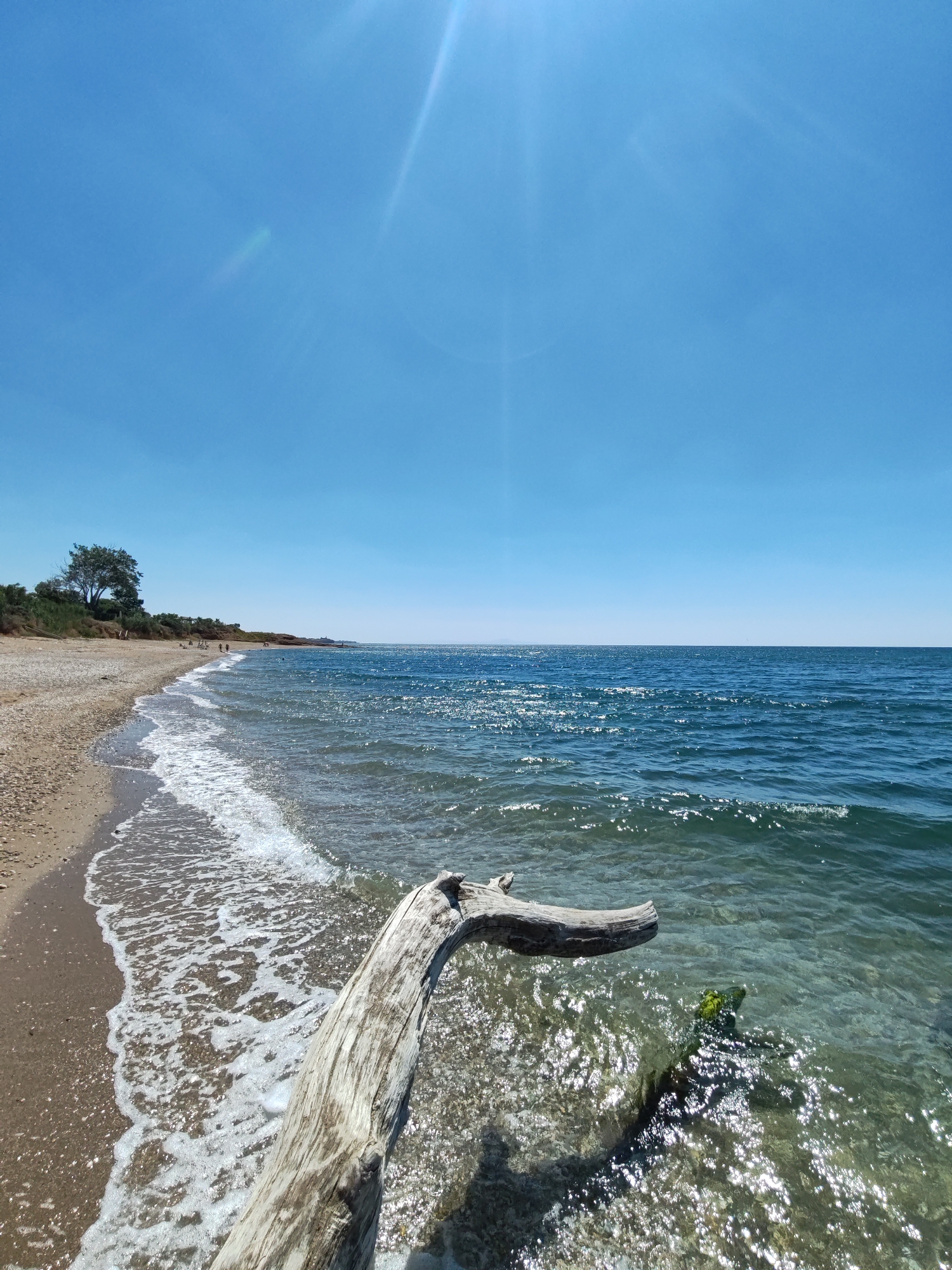 The image depicts a scenic view of a beach in Alexandroupolis, Greece, under a clear blue sky. The foreground features a weathered piece of driftwood resting partially in the shallow, clear water. The waves gently lap at the sandy and pebbly shoreline, creating white foam. In the mid-ground, a line of green vegetation and trees borders the beach, with a few people walking along the shore in the distance. The background is dominated by the expansive, calm sea stretching out to the horizon. The sunlight creates a shimmering effect on the water's surface.