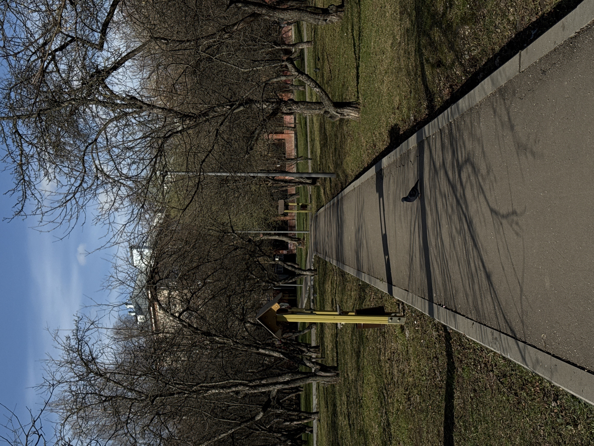 A photograph captures a slightly tilted perspective of a park pathway in Moscow, Russia, bordered by dormant trees and grassy areas. A lone pigeon stands on the pathway. A yellow playground structure is visible on the right side of the path. The sky, a light blue with scattered clouds, is visible through the branches of the trees. Some buildings can be seen in the background.