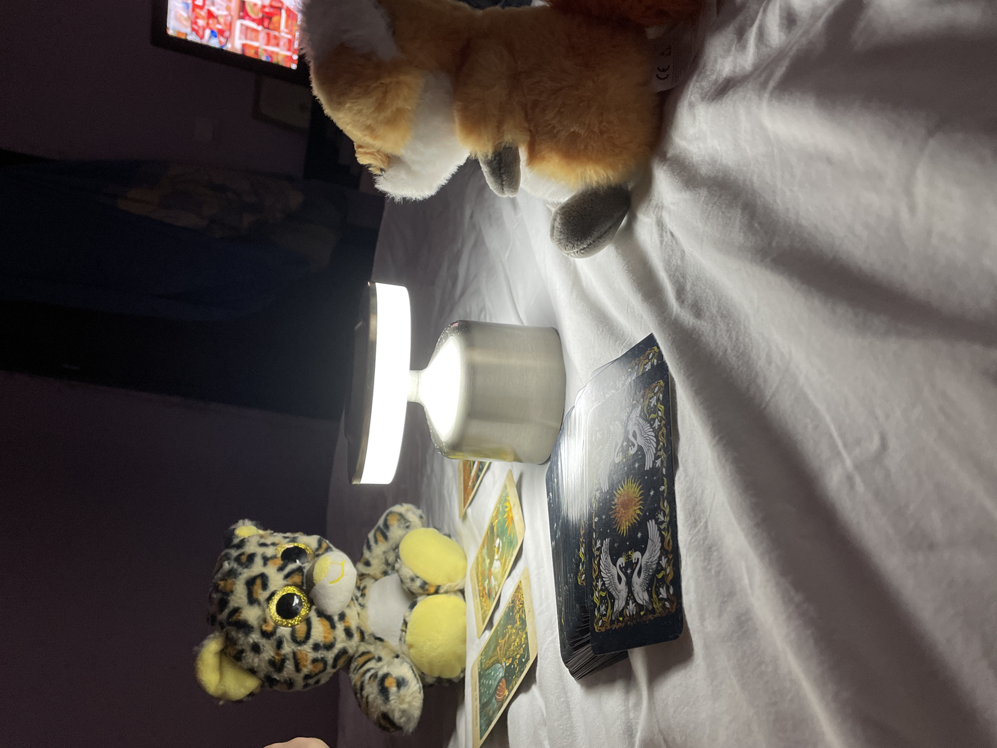 A bed is covered with a white sheet. A stack of tarot cards sits on the right side of the bed. To the left is a silver, cylindrical desk lamp with a bright white light. A leopard plush toy sits to the left of the lamp, and an orange fox plush toy sits above the lamp and tarot cards. Some tarot cards have been pulled and are laid out between the plush toys and lamp. In the background is a dark-colored TV and a dark wall. The location is not visible.