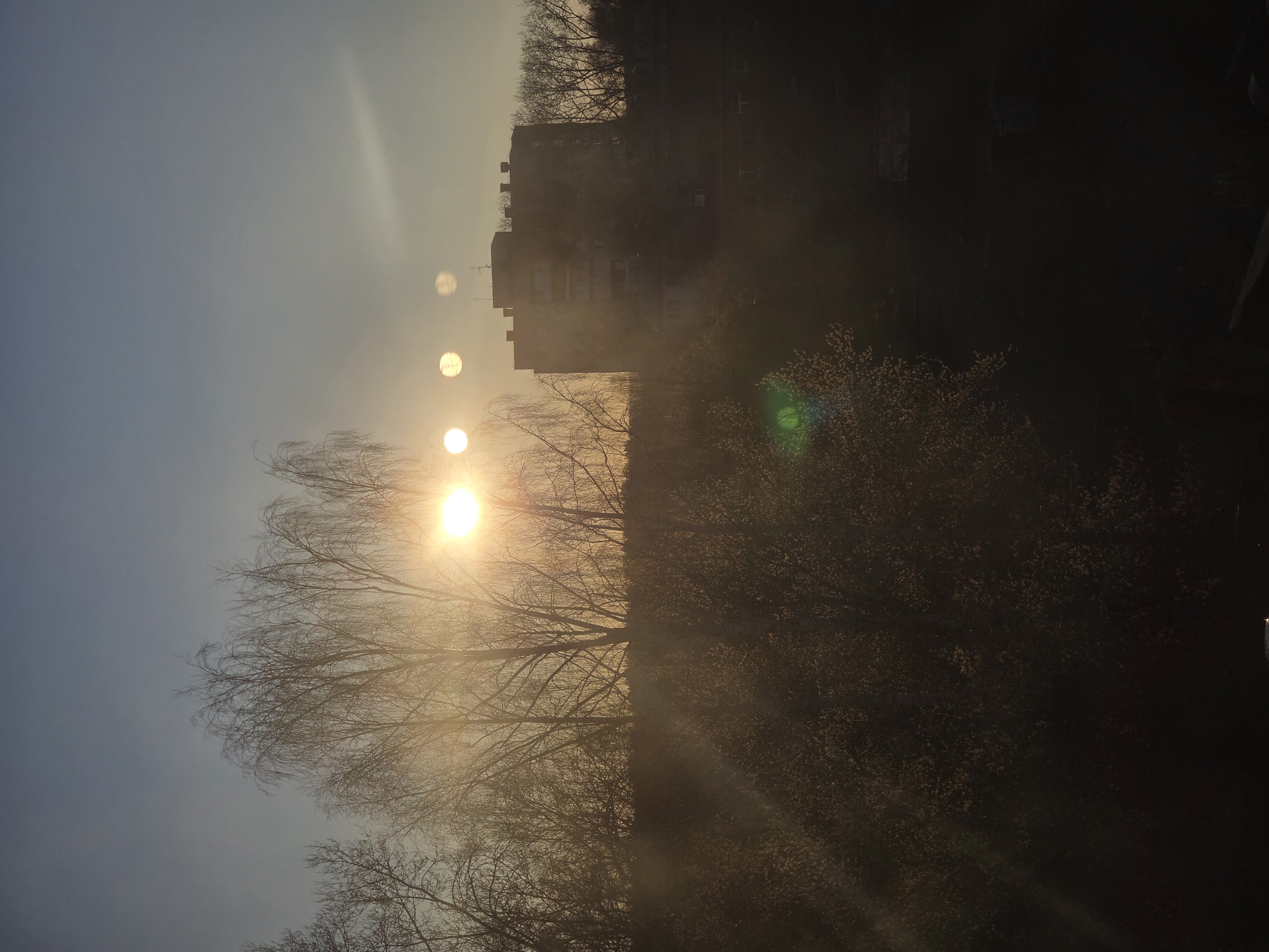 The image depicts a vibrant sunrise or sunset over an urban landscape, likely in Chaikovsky, Russia, characterized by strong backlighting and atmospheric haze. The sky transitions from a soft, pale blue at the top to a warm, golden glow near the horizon, where the sun is positioned.
The dominant subject is the brilliant, intense sun, which appears low in the sky, casting a radiant golden light across the scene. Several distinct, circular lens flares or "sun ghosts" are prominently visible, scattered across the sky, a common optical artifact from shooting directly into bright light sources.
In the mid-ground, a dense array of deciduous trees, largely bare of leaves, are silhouetted against the bright sky. Their intricate branch patterns are sharply defined by the golden light filtering through the haze. Towards the lower right, some trees appear to have nascent foliage or early spring growth, catching the light with a subtle warmth. Behind these trees, a multi-story apartment building stands as a dark silhouette, its outline, windows, and roof structures barely discernible through the atmospheric haze and obscuring branches.
The overall setting suggests an urban or suburban environment with green spaces. The time of day is clearly either early morning or late afternoon, indicated by the low angle of the sun and the golden light. The atmosphere is notably hazy, diffusing the sunlight and creating a soft, almost ethereal glow around the sun and through the scene. No discernible text is visible in the media file. The scene conveys a sense of peacefulness and the quiet beauty of a transitional moment in the day.