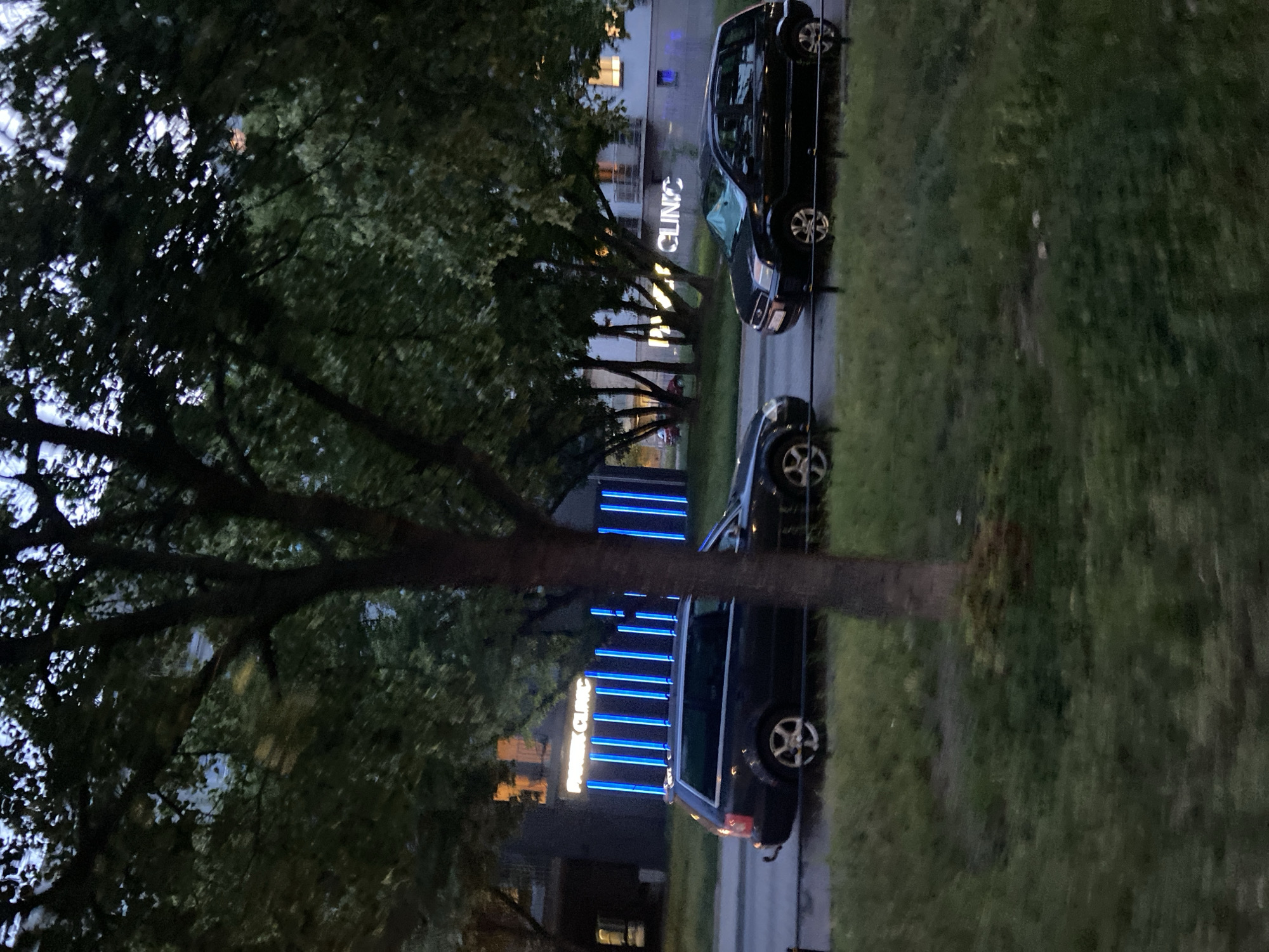 The image depicts a street scene in Warsaw, Poland, at dusk. Two dark-colored station wagons are parked on the side of the road. The car on the left appears to be an Audi, and the car on the right is a Ford. Behind the cars, a building with illuminated signage is visible. The building's facade is dark, and the signage, which reads "PRIME CLINIC," is lit with bright blue vertical lights. The building also has windows with warm yellow interior lighting. Trees with dense green foliage line the street in front of the building, partially obscuring the view. The foreground is a grassy area with a dark tree trunk in the center. The overall impression is a quiet urban evening.