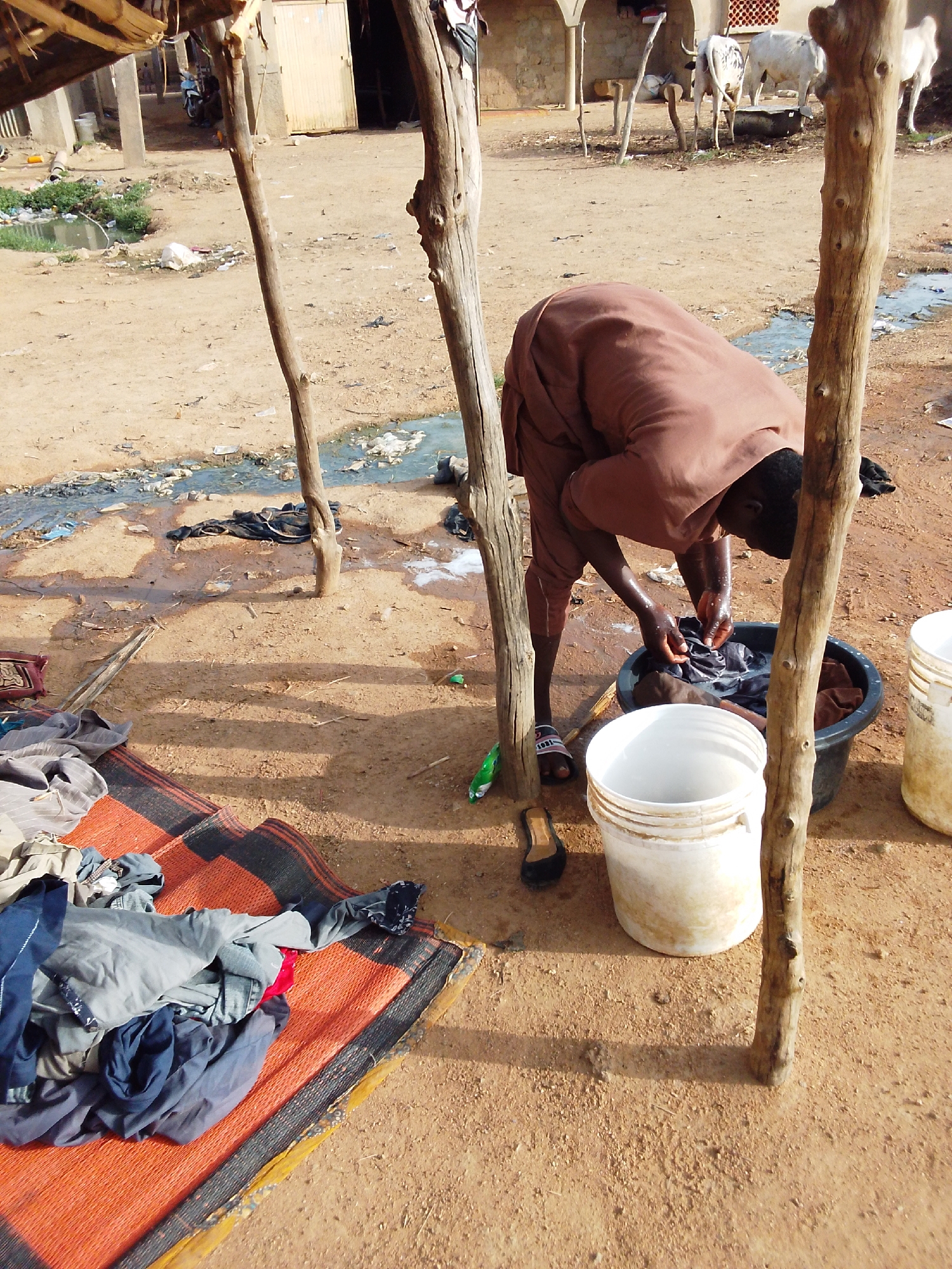 A man is washing clothes in an outdoor setting in Bauchi, Nigeria. He is bent over a black bucket, with two white buckets nearby. Clothes are spread out on a rug on the ground. The scene is situated on sandy ground, with wooden poles forming part of a structure. In the background, there is evidence of a dwelling and livestock. There is discarded litter on the ground as well as what appears to be a small stream of wastewater.