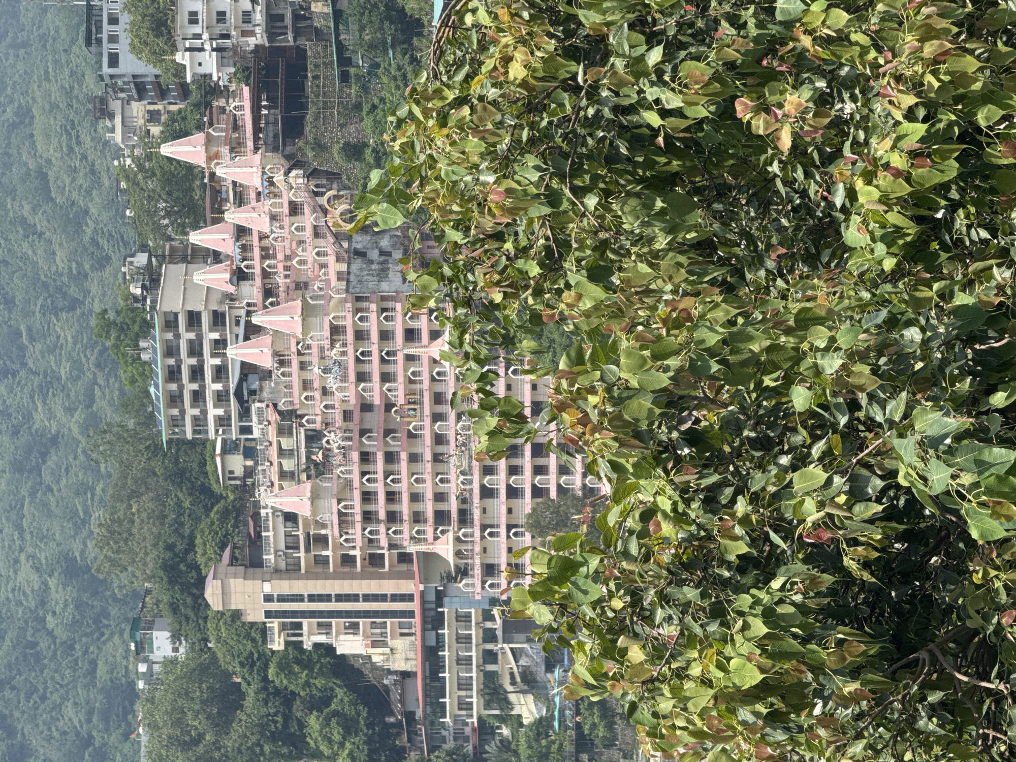 The image captures a sprawling hotel complex nestled on a hillside in Rishikesh, India, likely overlooking the Ganges River. The hotel features a distinctive architectural style with multiple tiers and numerous pink-domed turrets, resembling a traditional Indian temple complex. The building's facade is a pale pink, punctuated by rows of arched windows and balconies. In the foreground, lush green foliage from a large tree partially obstructs the view of the hotel and the verdant, tree-covered hills that rise behind it. The sky is a muted gray, suggesting an overcast or hazy day. No people are clearly visible in the image.