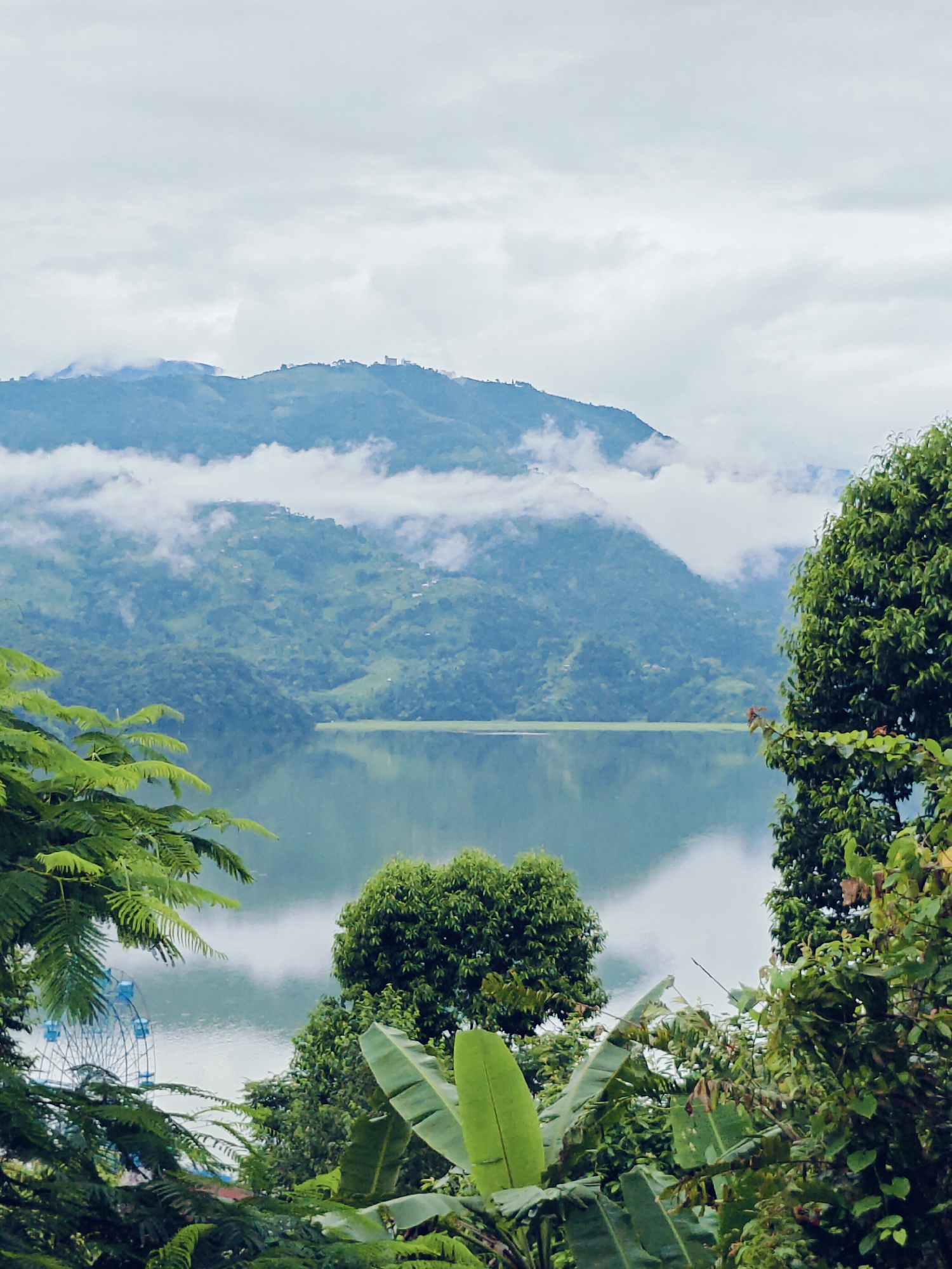 This is a photograph of a serene lake with lush green hills and mountains in the background. The sky is overcast with clouds. In the foreground, there are several trees and large green leaves, obscuring parts of the scene. On the left side of the image, a Ferris wheel can be seen near the lake. The scene appears to be a scenic view from Pokhara, Nepal, likely overlooking Phewa Lake, given the presence of the Ferris wheel which is a tourist attraction in the area. There are no people visible in the photograph.