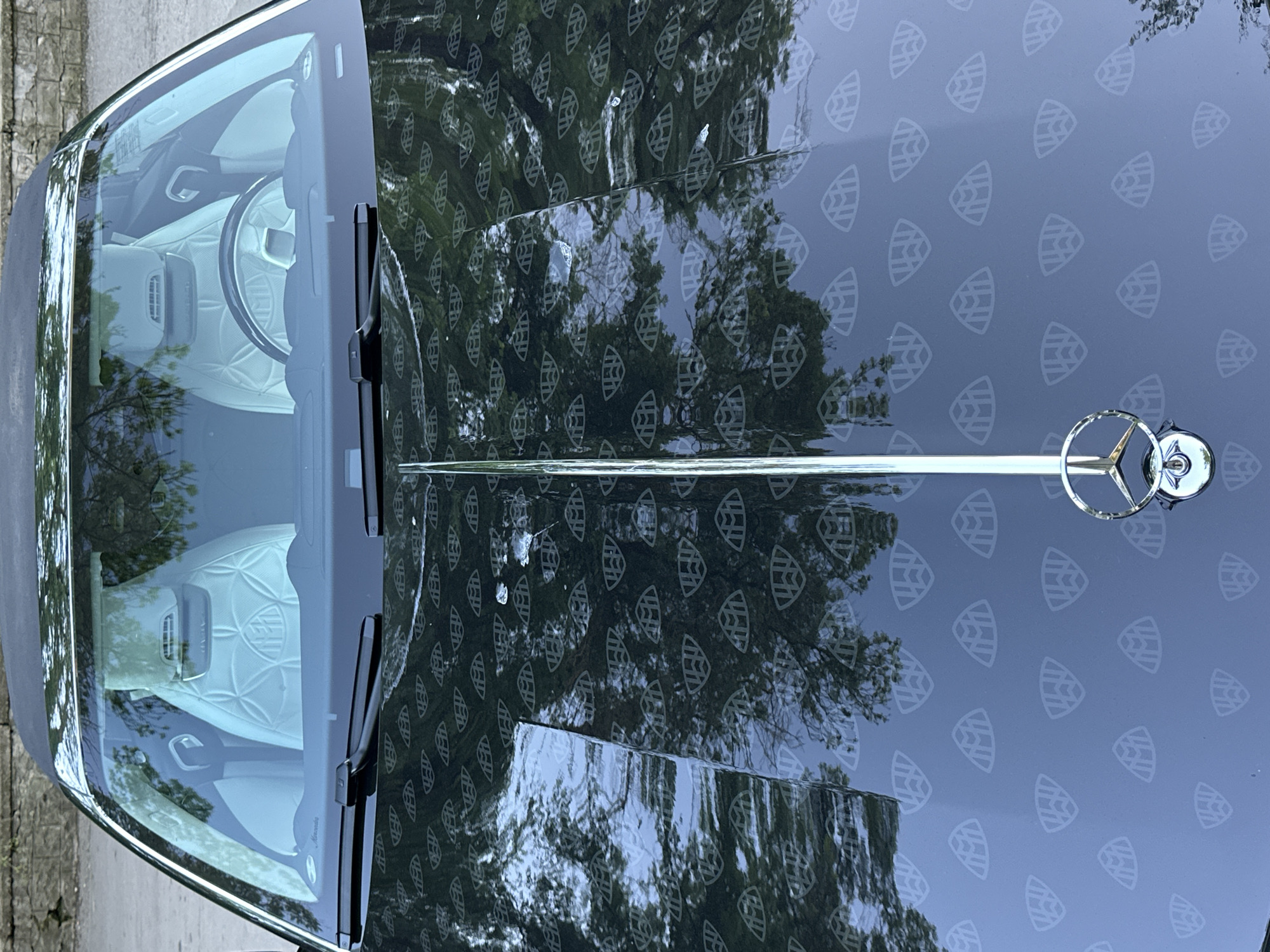 The image shows the front of a dark-colored Maybach car with a distinctive pattern of the Maybach logo repeated across the hood. The car is parked outside, as evidenced by the reflections of trees in the hood's glossy surface. The car features a prominent Mercedes-Benz logo on the hood. The interior, visible through the windshield, appears to be light-colored leather. Windshield wipers are visible, suggesting the vehicle is functional. The location is not evident from the image.