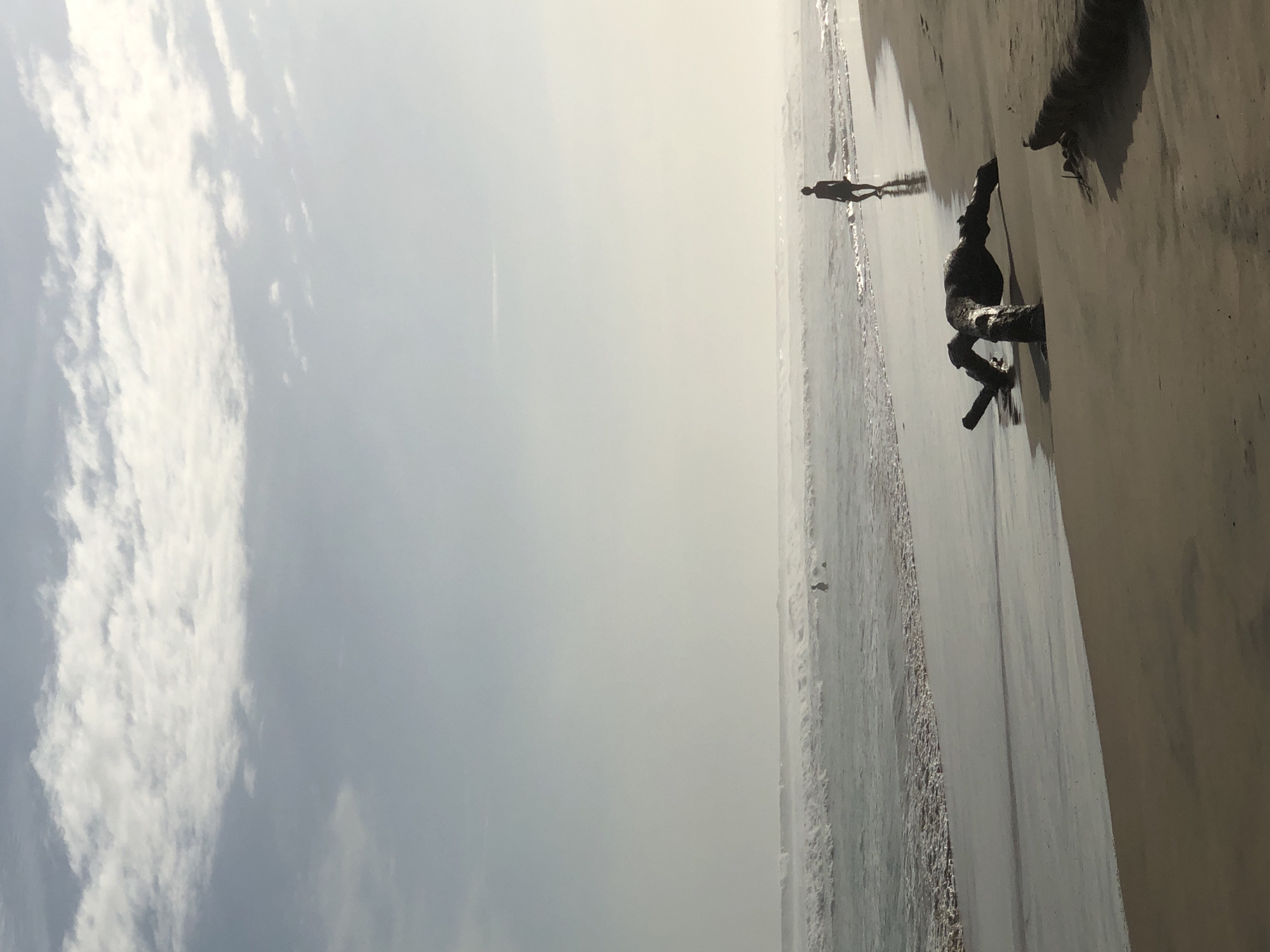 The image depicts a hazy coastal scene in Kathaluwa, Sri Lanka, during daylight hours, likely early morning or late afternoon, characterized by soft, diffused light. The sky, occupying the upper two-fifths of the frame, transitions from a light blue-grey with scattered white stratocumulus clouds at the top to a bright, near-white haze above the horizon. The ocean occupies the mid-ground, displaying multiple lines of breaking waves with white foam receding onto the wet sand. The water's surface reflects the pale sky.
In the mid-ground, a solitary individual, rendered in silhouette, walks along the wet shoreline from right to left, facing generally towards the left. This person wears dark attire and their reflection is visible on the glistening sand. Further out in the ocean, two additional indistinct human silhouettes are partially submerged in the water, appearing to be wading or swimming.
The foreground consists of wet, reflective sand near the water's edge, transitioning to drier, darker sand further up the beach. A large, dark piece of weathered driftwood or a fallen tree trunk is centrally positioned in the lower mid-ground on the wet sand, featuring several prominent branch-like extensions. A smaller, darker object, possibly another piece of driftwood, is partially visible at the far right edge of the frame.