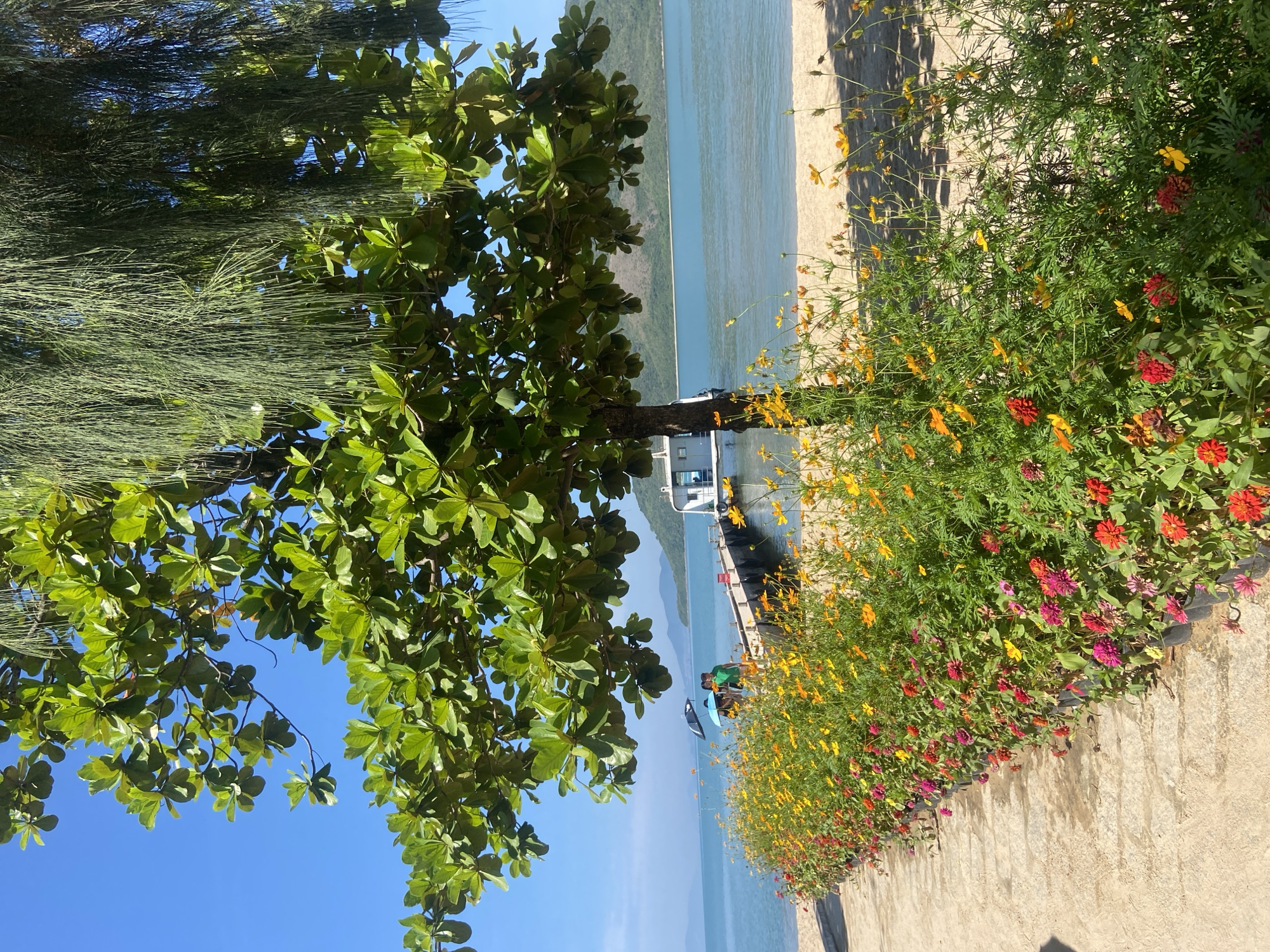 The image depicts a scenic coastal view in Hoa Thang, Vietnam. In the foreground, a vibrant row of potted flowers, primarily in shades of red, pink, and yellow, lines a sandy path. Beyond the flowers, a wooden pier extends into the calm, turquoise ocean. A white boat is docked at the end of the pier, and two individuals are seen walking on it, one holding a black umbrella. The background features a sandy beach, lush green trees with large leaves, and distant, hazy mountains under a clear blue sky. The overall scene evokes a tranquil and picturesque tropical environment.