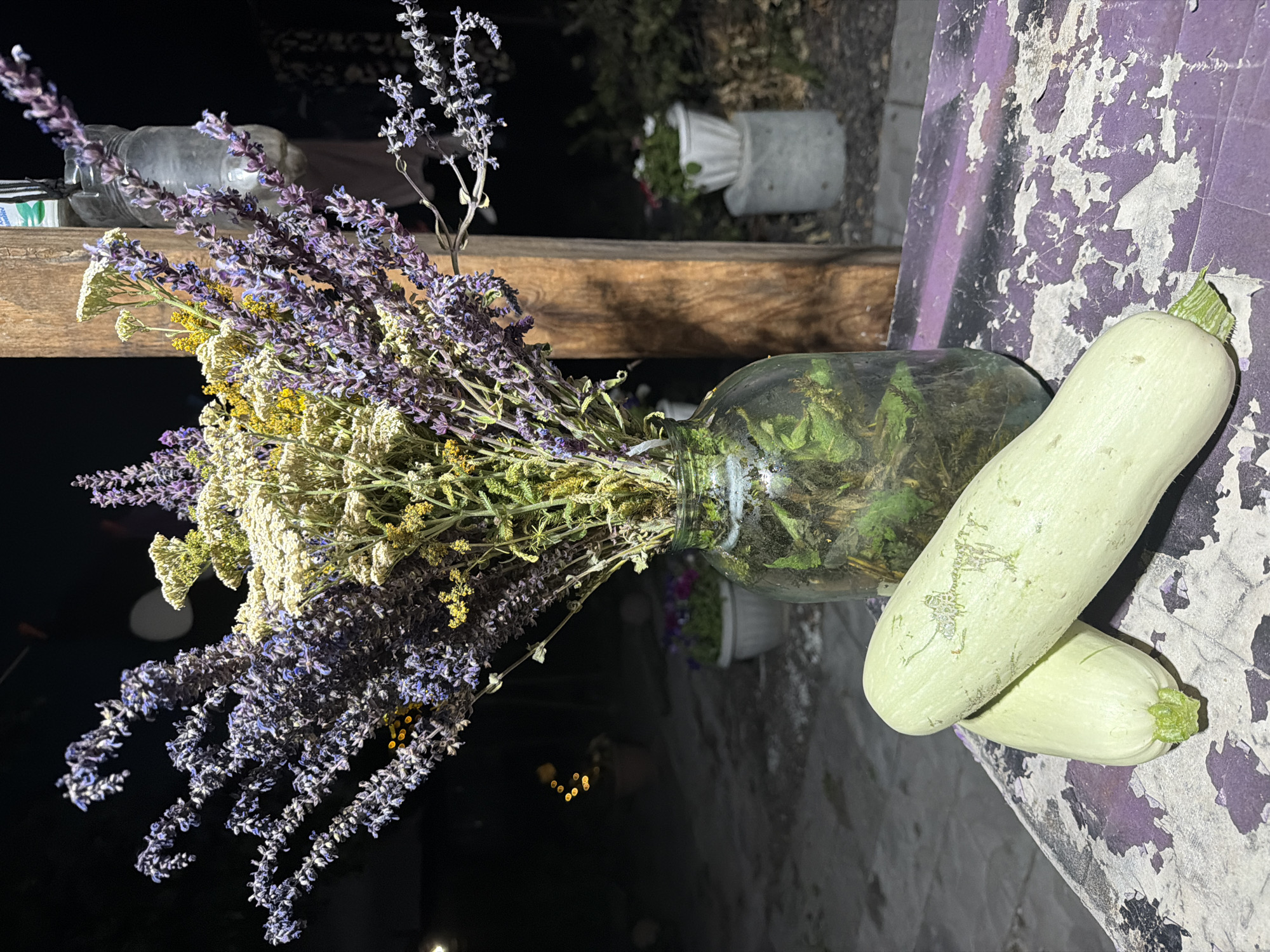 This is an outdoor, nighttime photograph featuring a still life arrangement on a weathered, purple-painted surface. In the foreground, two light green, elongated vegetables, possibly zucchini or squash, rest side-by-side. Behind them, a large glass jar holds a bouquet of dried flowers, predominantly lavender and small yellow blossoms, along with green foliage. The jar is placed next to a rough, wooden post. In the blurred background, potted plants and an out-of-focus light source are visible, suggesting an outdoor setting in a garden or patio area. The overall impression is one of a rustic, possibly rural, scene. The image was taken in Semey, Kazakhstan.