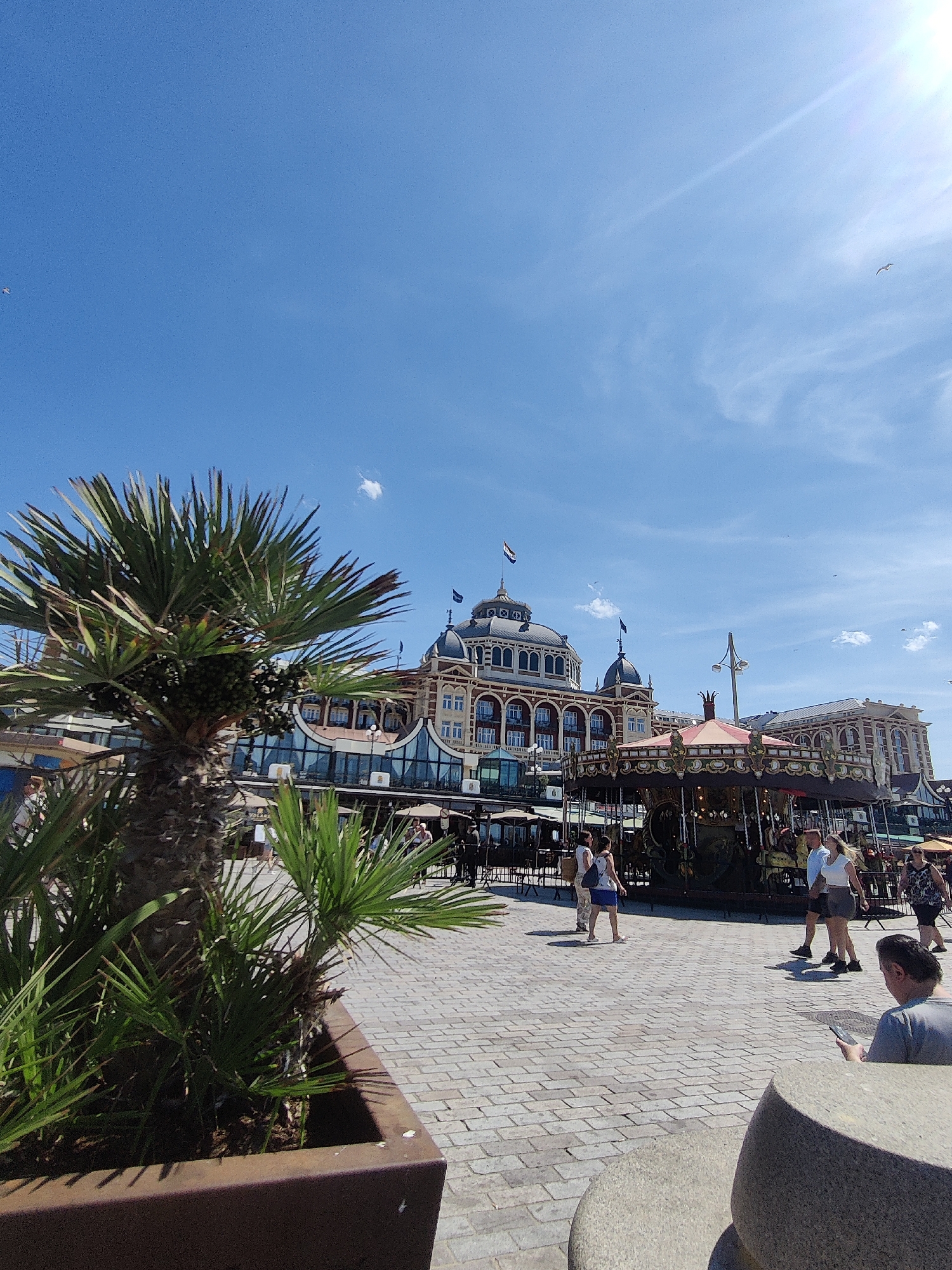 This is a full, vertical shot of a sunny day at the Scheveningen boulevard in The Hague, Netherlands. In the foreground, a large potted palm tree with green fronds and clusters of small, dark fruits dominates the left side. Beyond the palm, a brick-paved promenade is populated by people walking and standing. To the right of the palm, a colorful carousel is in operation. In the background, a grand, historic building with ornate architecture, domes, and flags stands under a bright blue sky with scattered white clouds and lens flare. Several seagulls are visible in the sky.