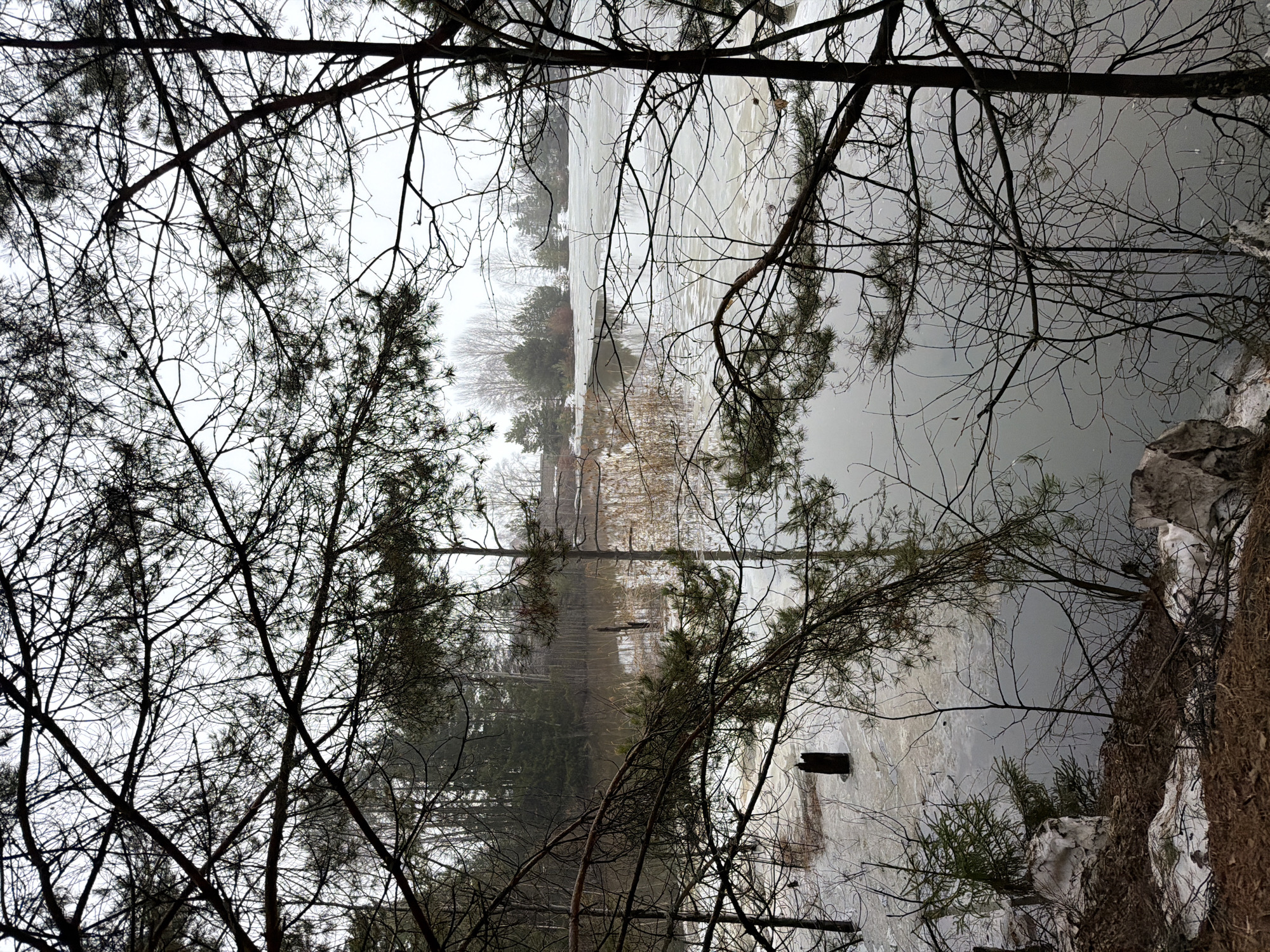 The scene depicts a partially frozen body of water viewed through bare tree branches. The location is Noviy, Russia. The water's surface is a mix of open water and thin ice. The shoreline is visible on both sides, with snow patches along the edges. On the opposite side of the water, trees and structures are faintly visible through a haze or fog. The foreground is dominated by the intricate network of bare branches, which partially obscures the view of the water. There are no people visible in the scene.