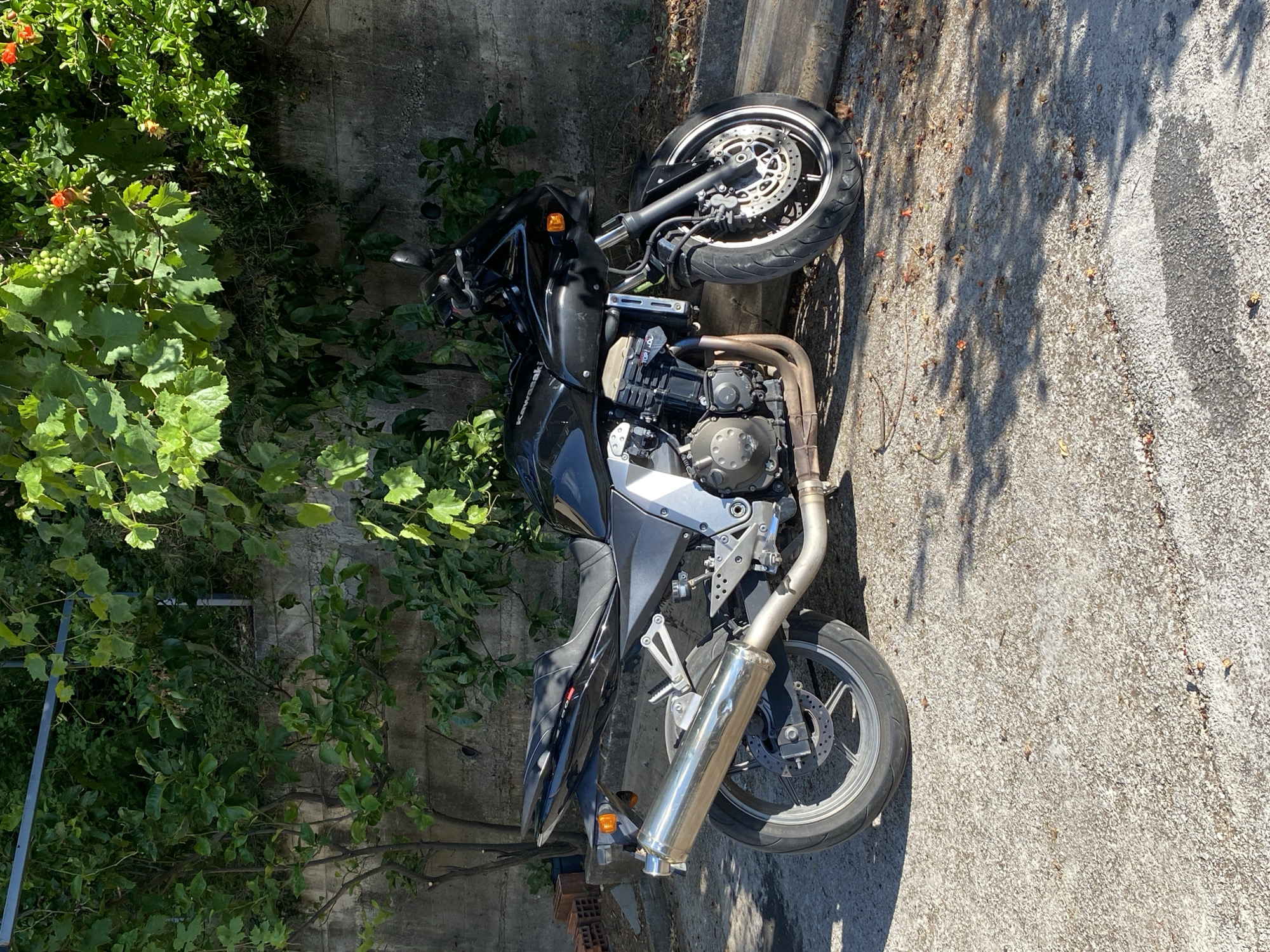 A black Kawasaki motorcycle is parked on a gravelly surface in front of a rough, grey concrete wall, partially obscured by lush green foliage and some orange flowers. The motorcycle is positioned on the right side of the frame, facing left. Its front wheel is closer to the viewer and angled slightly towards the left. The rear of the motorcycle extends towards the right side of the frame. The motorcycle has a sleek, sporty design with a black fairing and bodywork. A large, silver exhaust pipe is visible on the right side, extending from the engine. The ground is covered in small grey stones and fallen leaves and petals, suggesting an outdoor environment. Sunlight casts dappled shadows across the ground, indicating it is a bright day. A thin, metallic horizontal bar is visible above the motorcycle and foliage, possibly part of a structure or trellis. In the background, to the left, a stack of red bricks and a dark pot plant are visible near the wall. The overall scene suggests a peaceful, possibly residential setting in Budva, Montenegro, with the motorcycle parked in what appears to be a private driveway or courtyard.