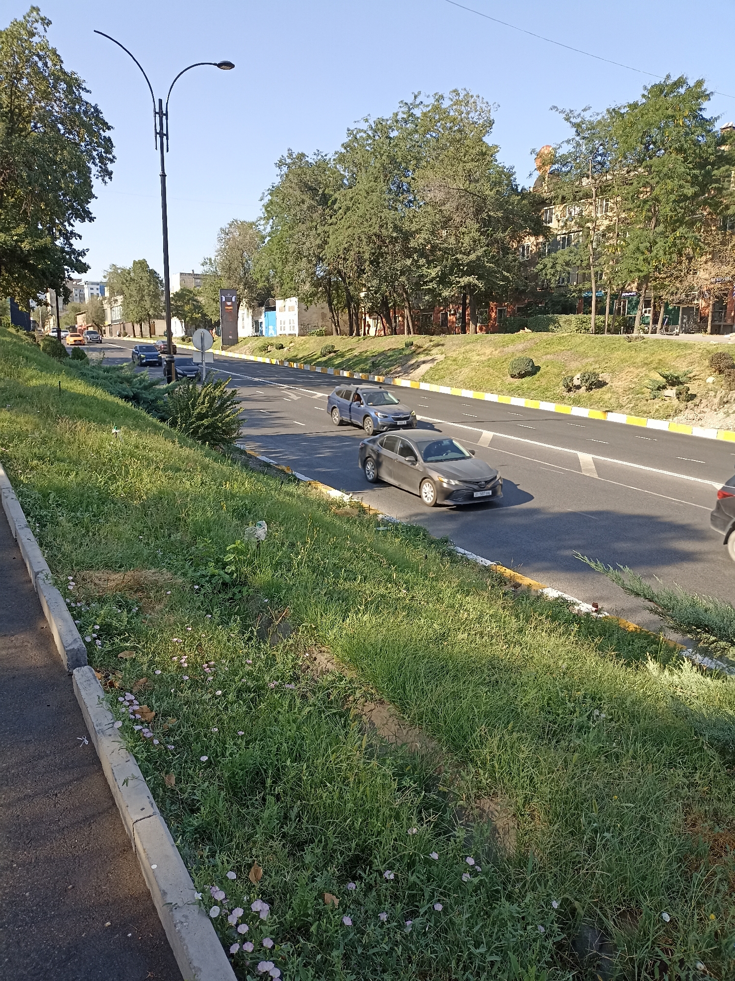 The image depicts a street scene in Bishkek, Kyrgyzstan, under a clear blue sky. A multi-lane road runs through the center of the frame, with several cars driving in various lanes. A prominent street light with a curved arm stands on the left side of the road, accompanied by a traffic sign. The road is bordered by a grassy median and a sidewalk with a concrete curb. Trees line the far side of the road, behind which buildings are visible. The foreground shows a sloped grassy area with small pink flowers. The overall impression is that of a typical urban environment during daylight hours.