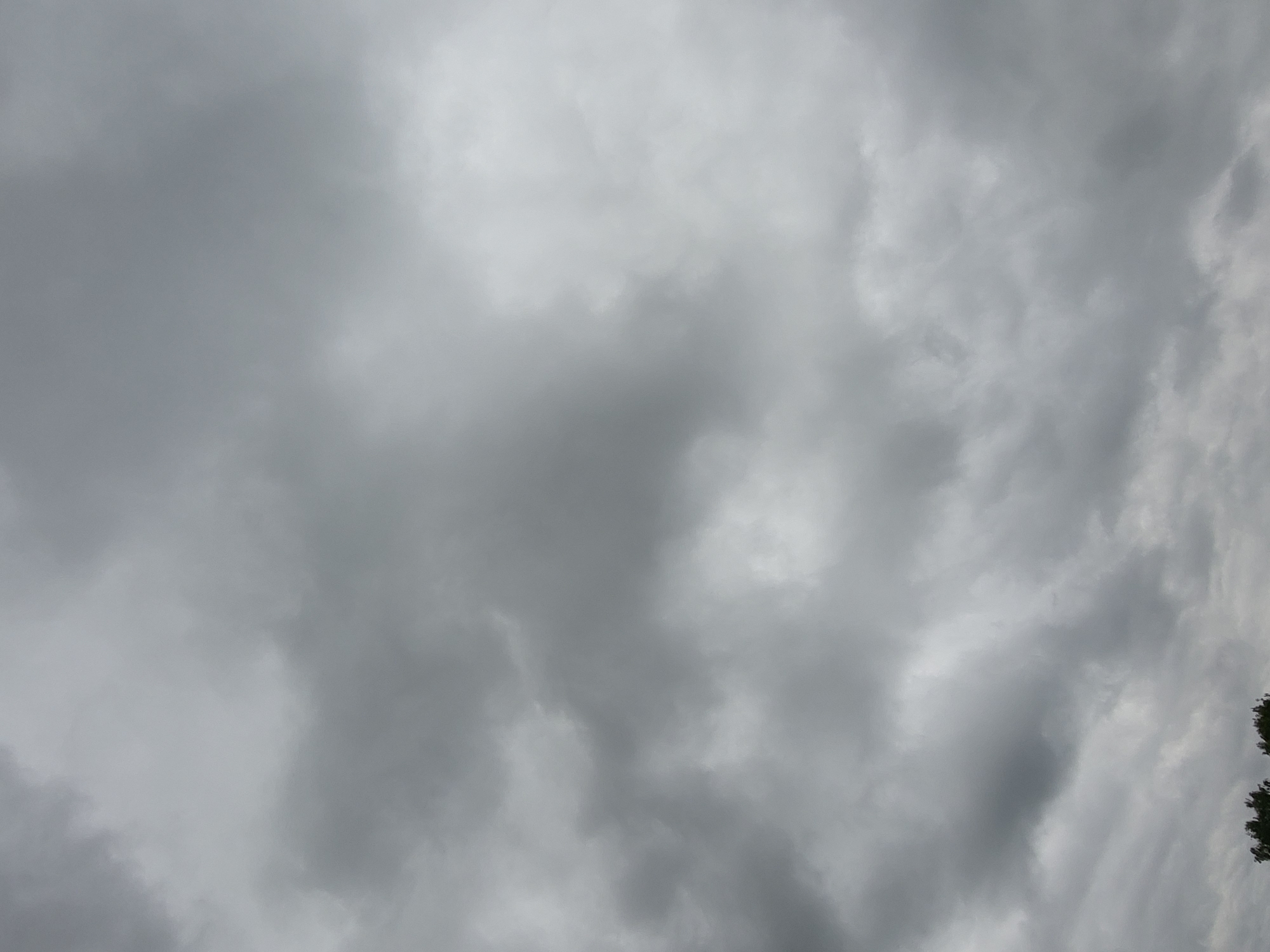 The image shows a cloudy sky over Ozolnieki, Latvia. The clouds are dark and dense, suggesting impending rain or a storm. A small portion of the tops of trees is visible at the bottom of the frame. There are no people or any other discernible subjects or objects in the image. The environment is overcast and atmospheric.